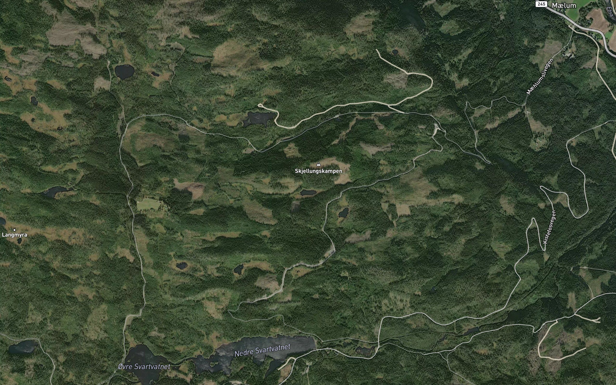 Haugtjernet
