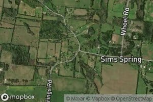 Sims Spring