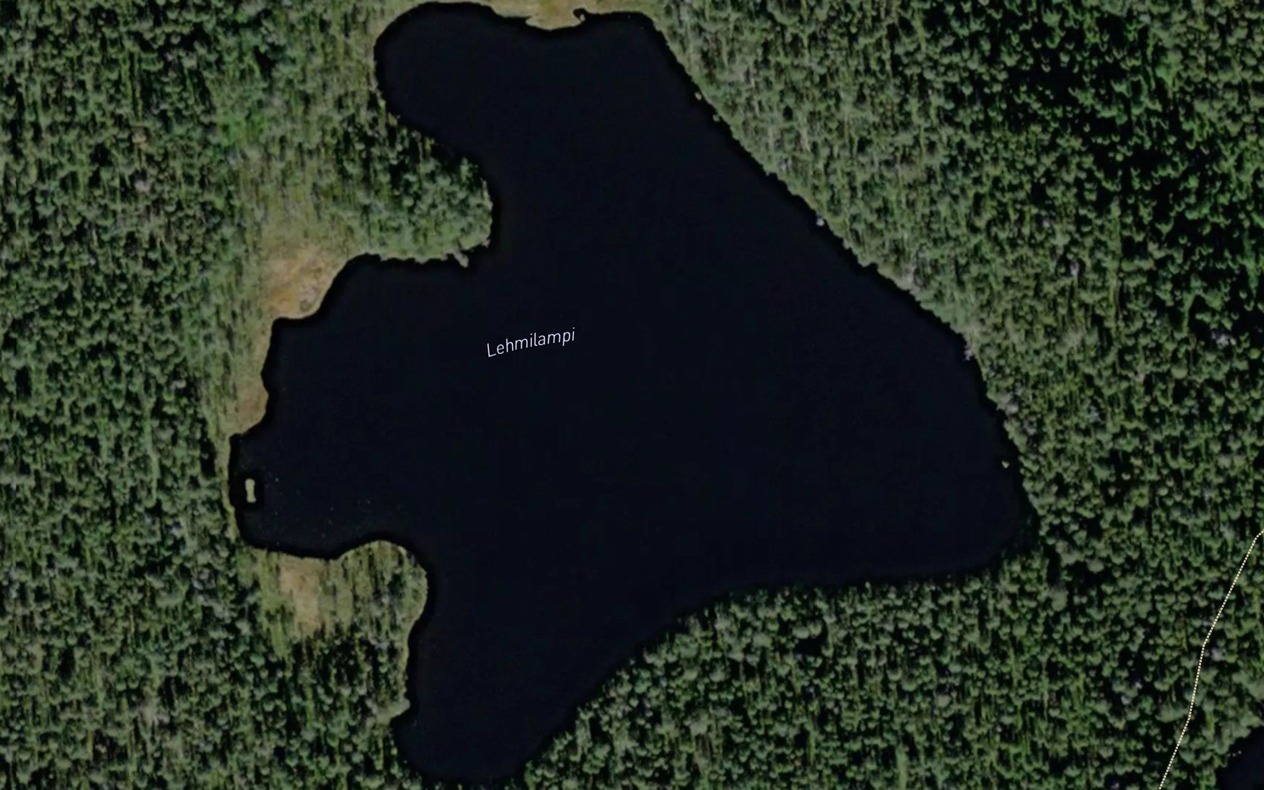 Lehmilampi