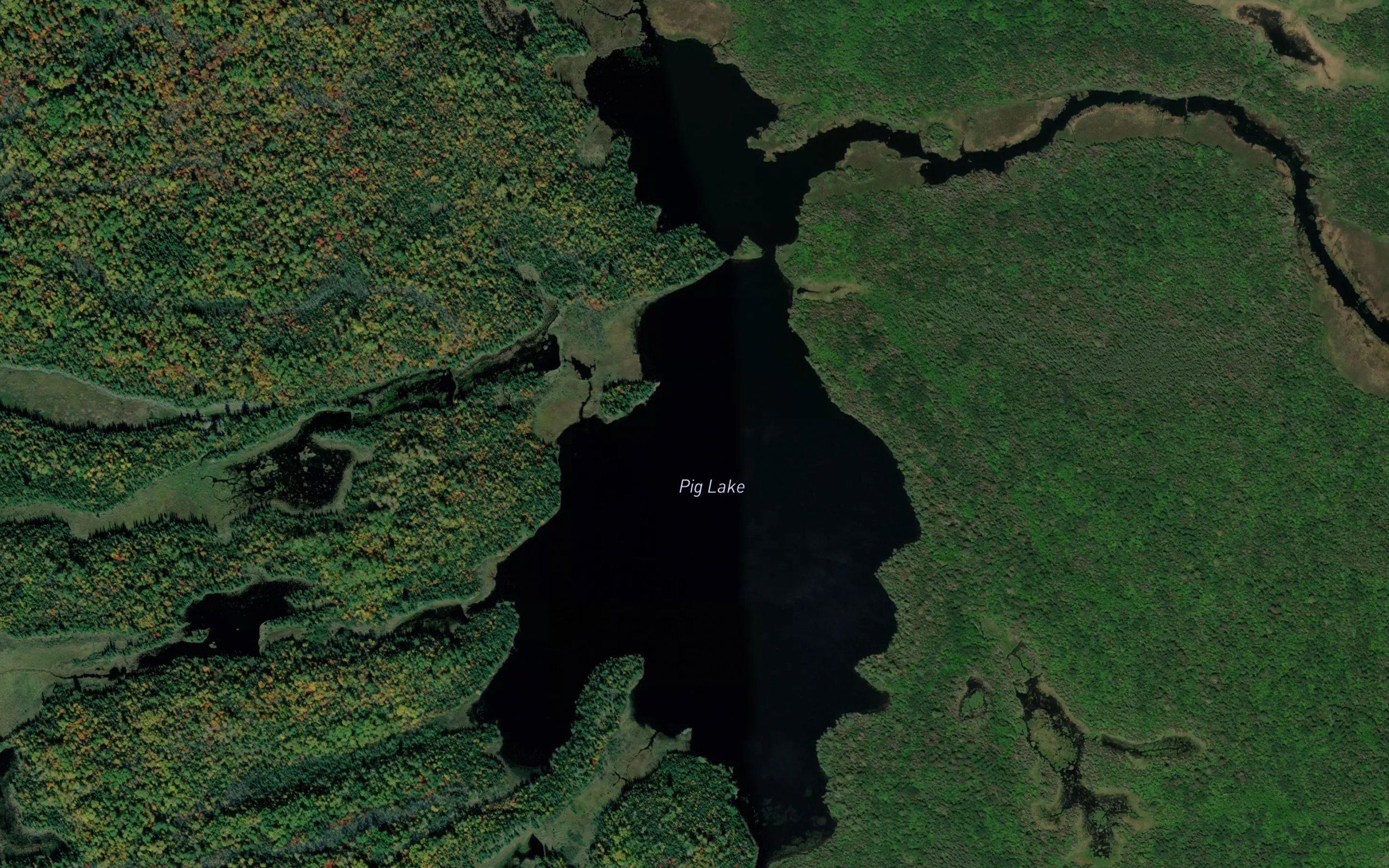 Pig Lake