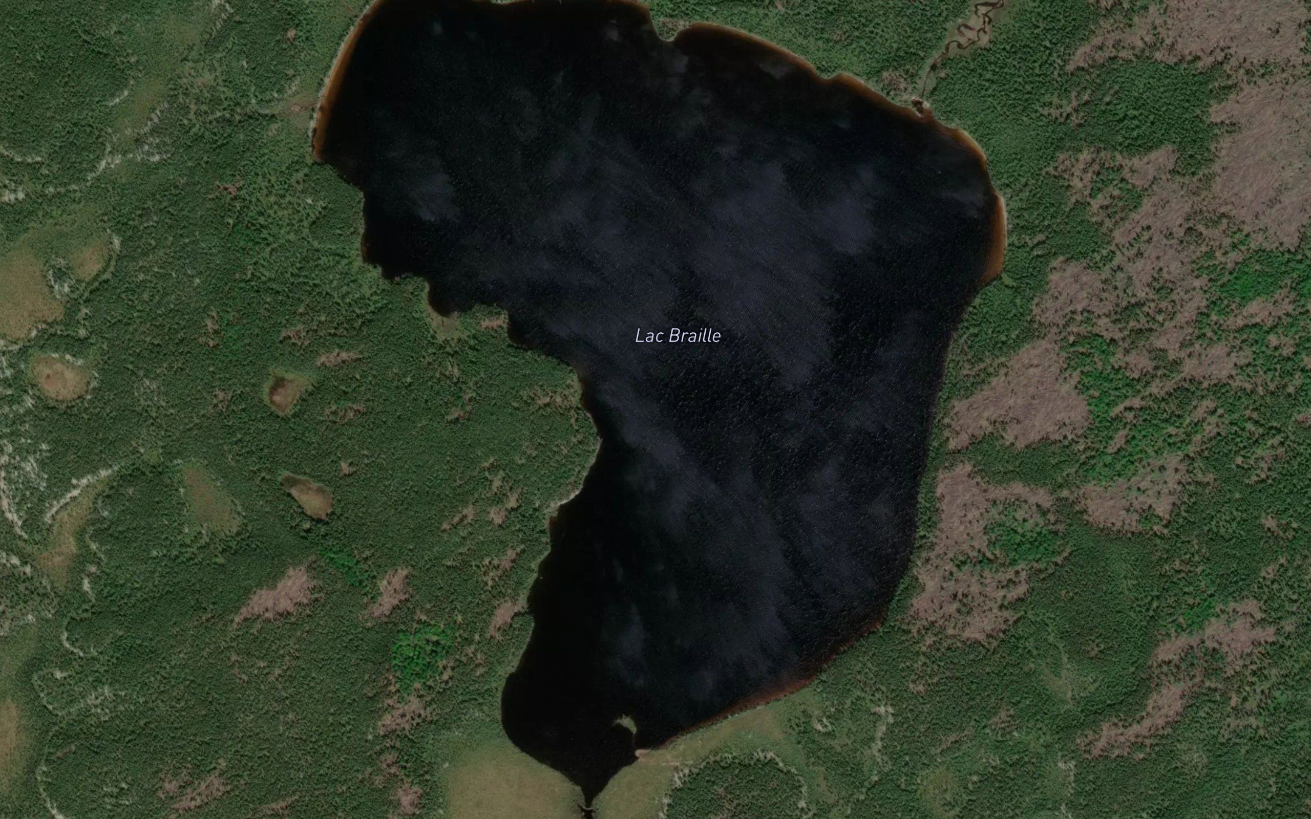 Lac Braille
