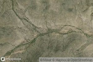 Canada Palos Blancos