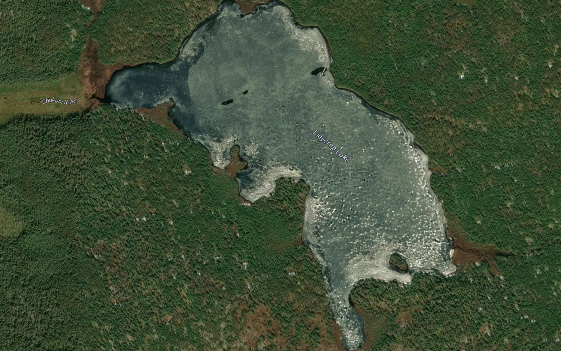 Satellite map of the Lillycrop Lake