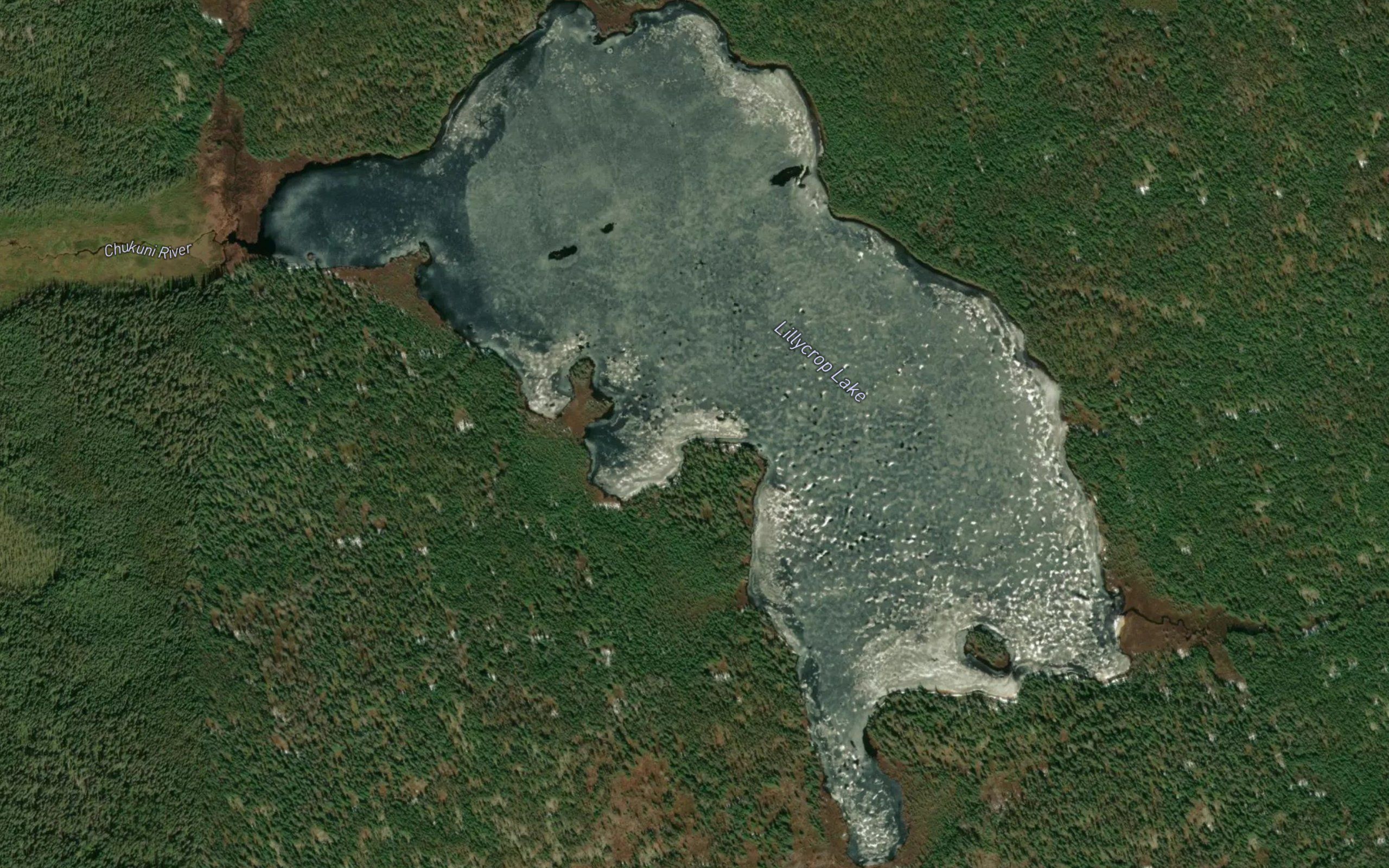Lillycrop Lake