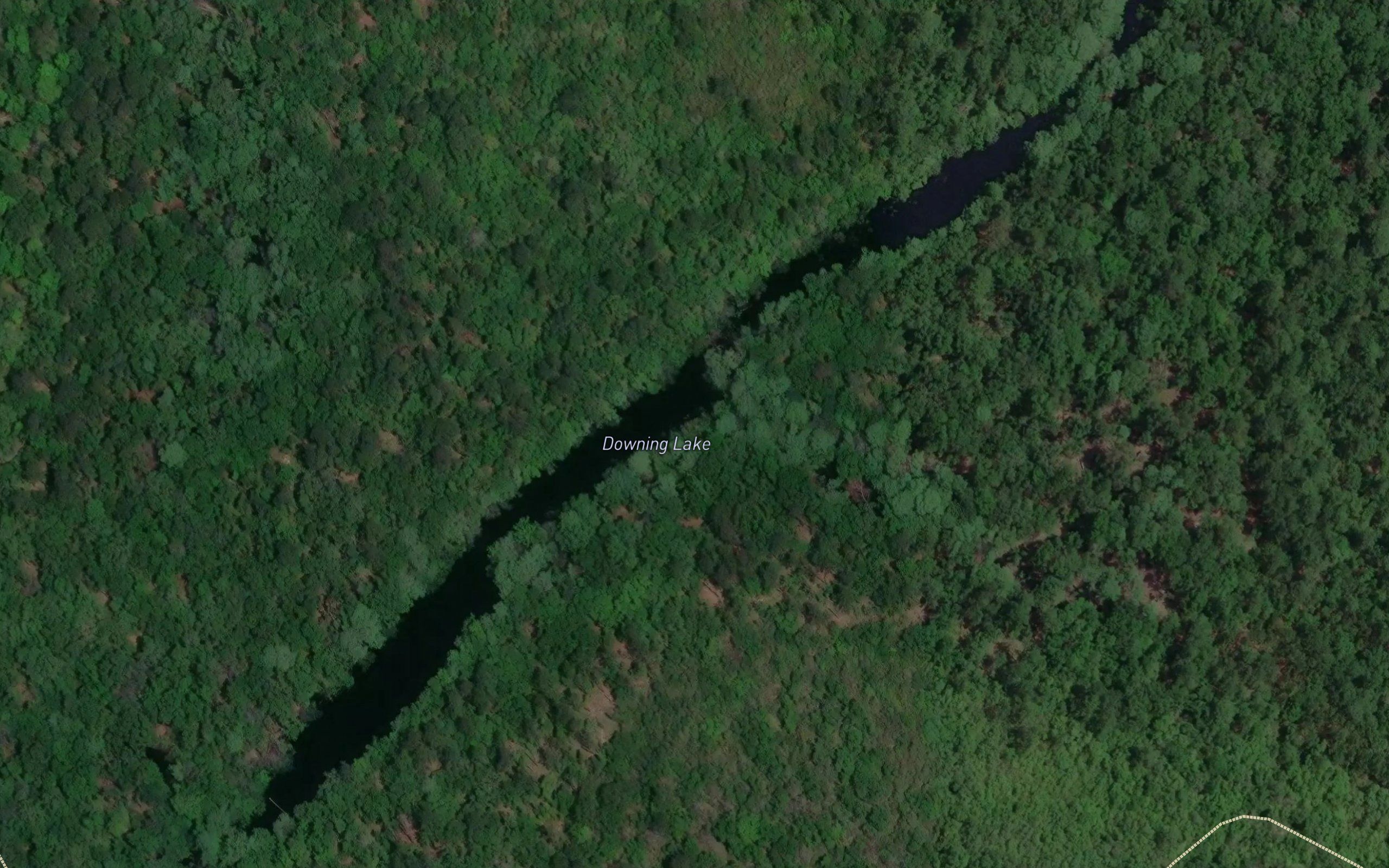 Downing Lake