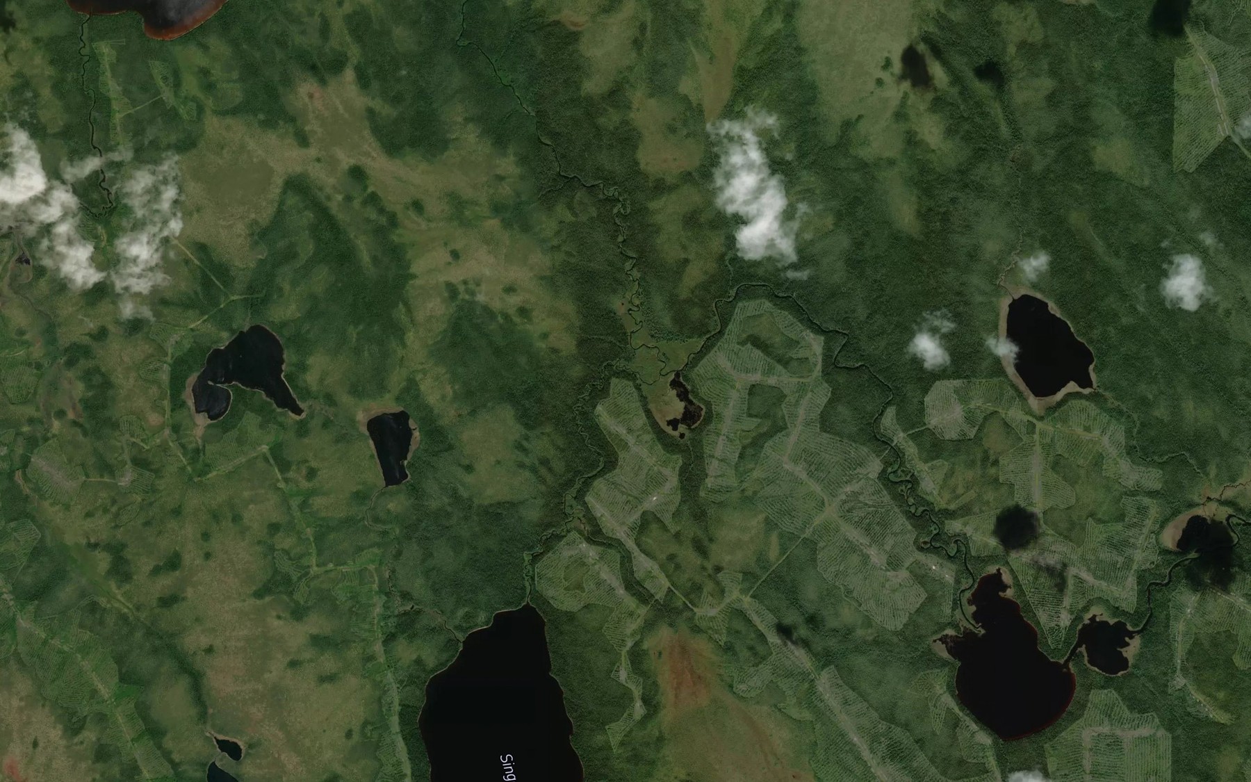Satellite map of the North Burntbush River