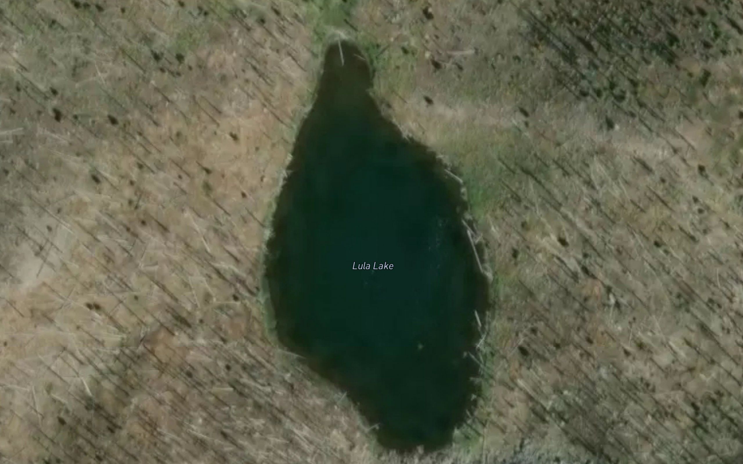 Lula Lake