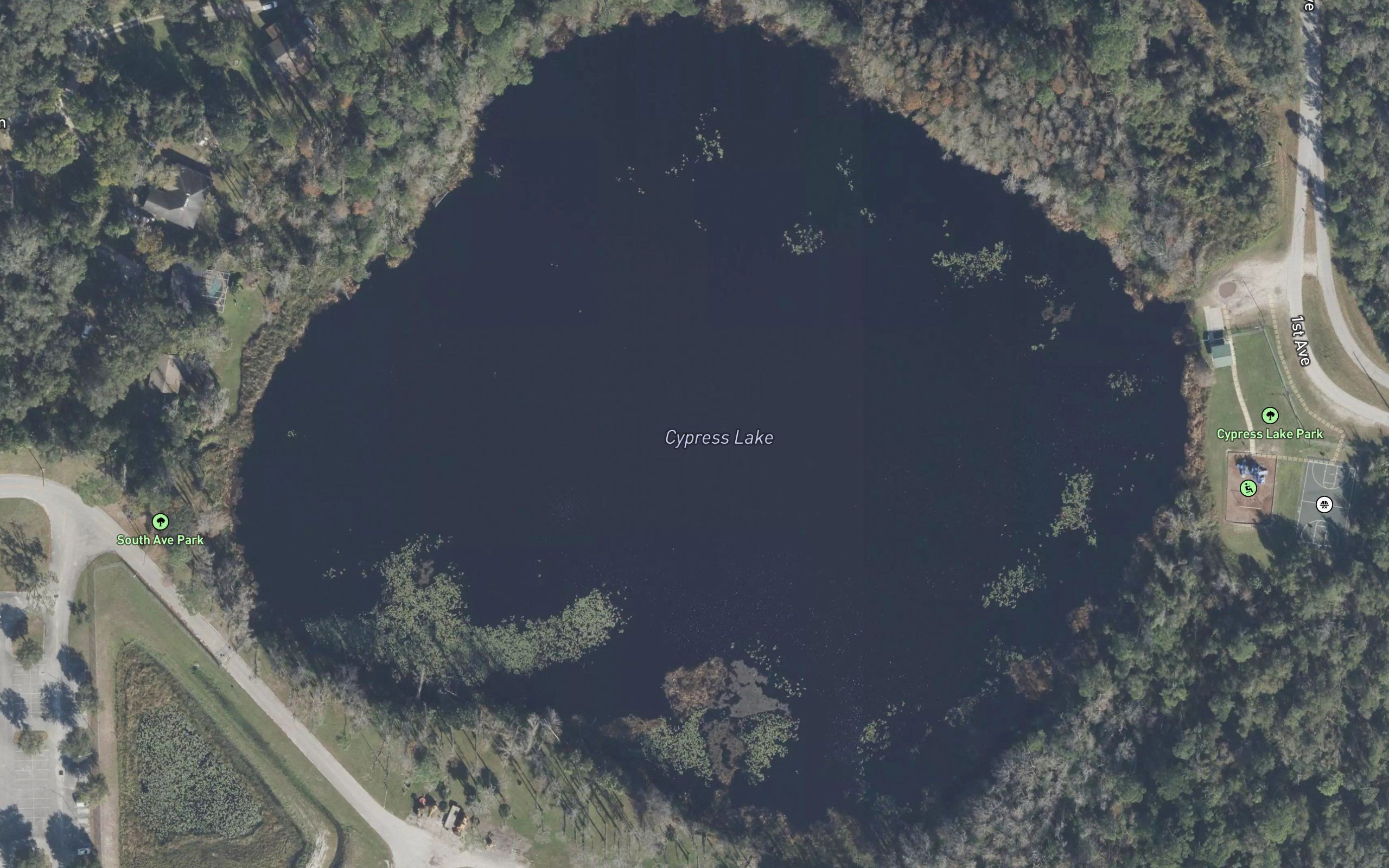 Cypress Lake