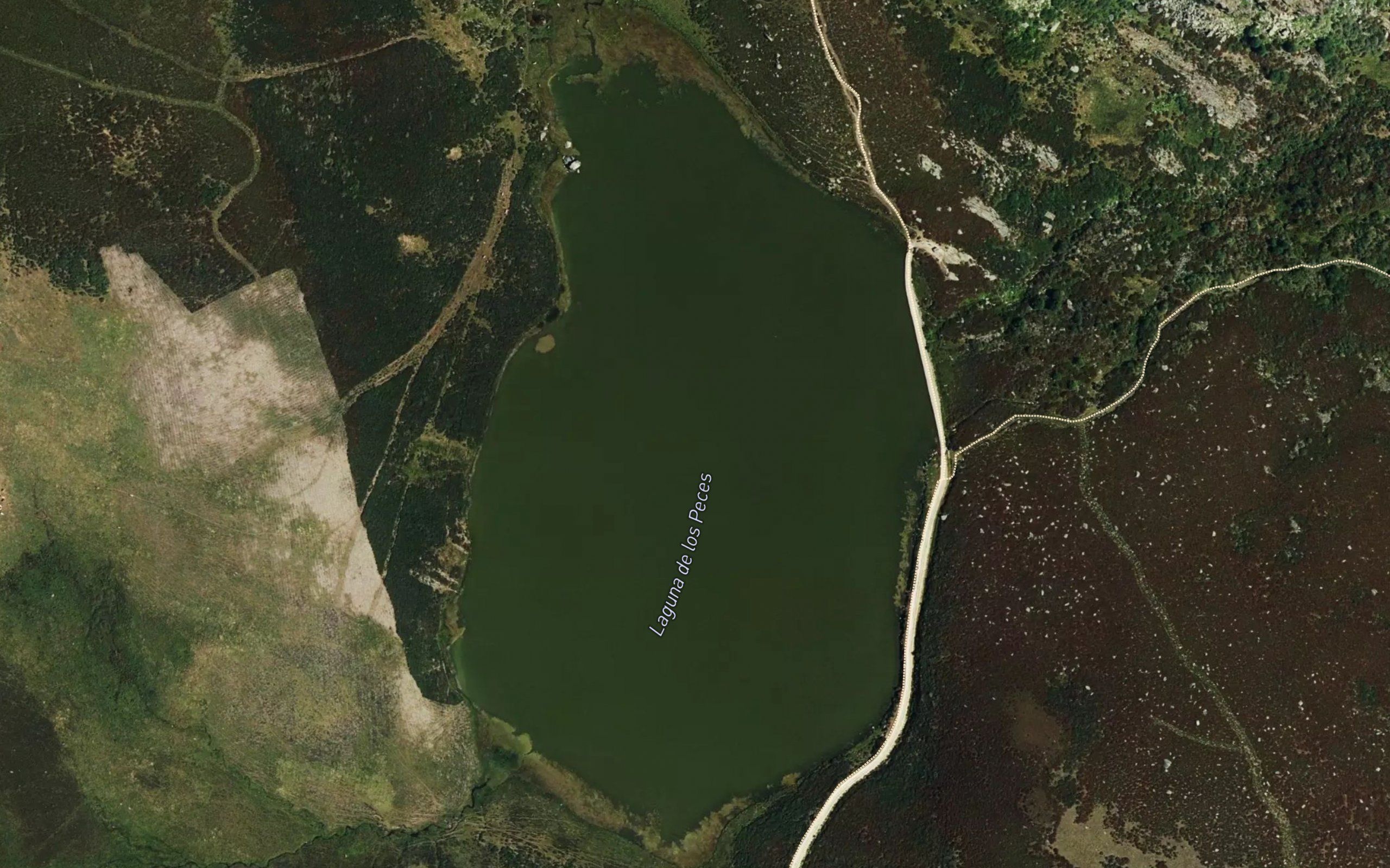 Laguna de los Peces