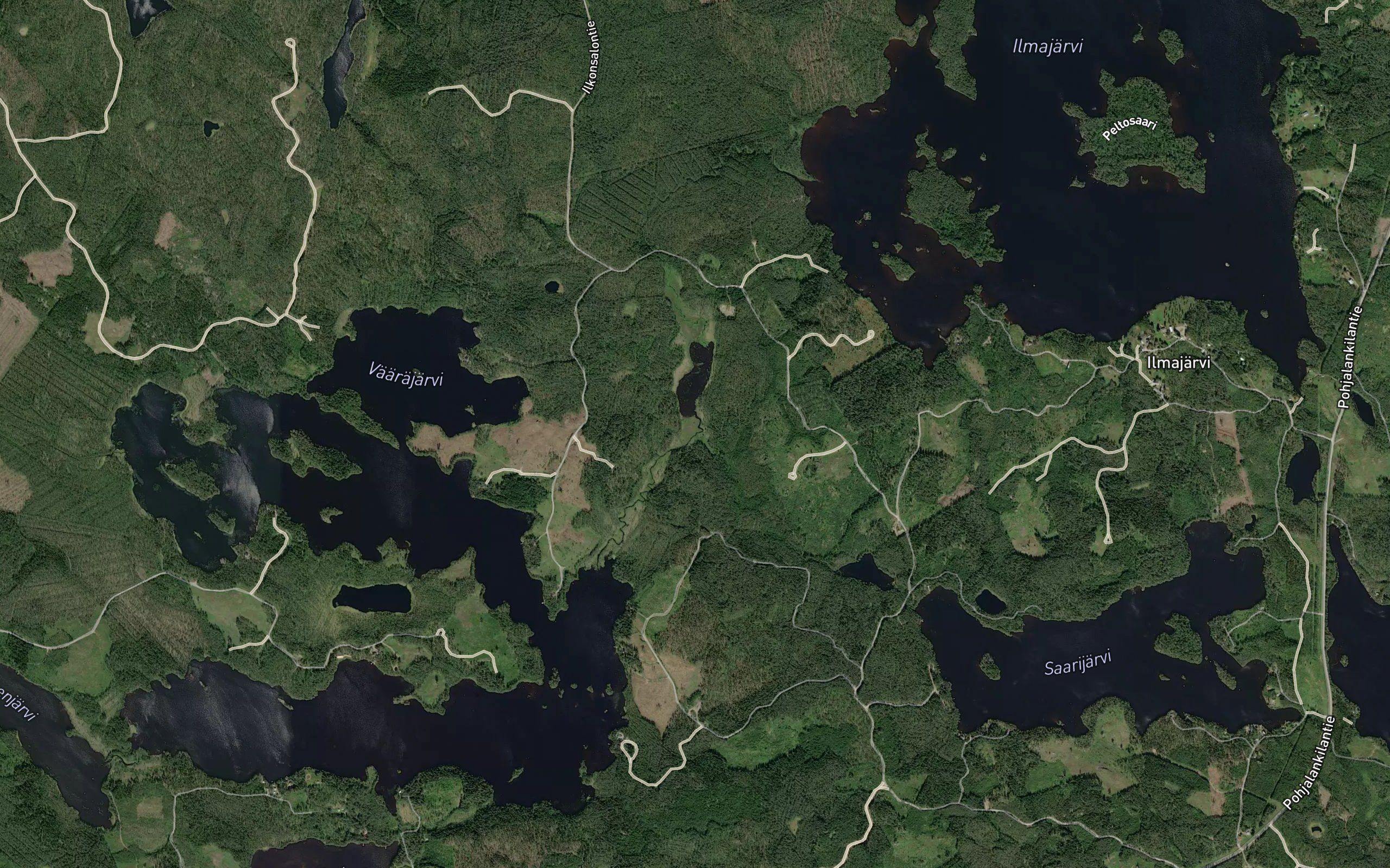 Pyylamminoja