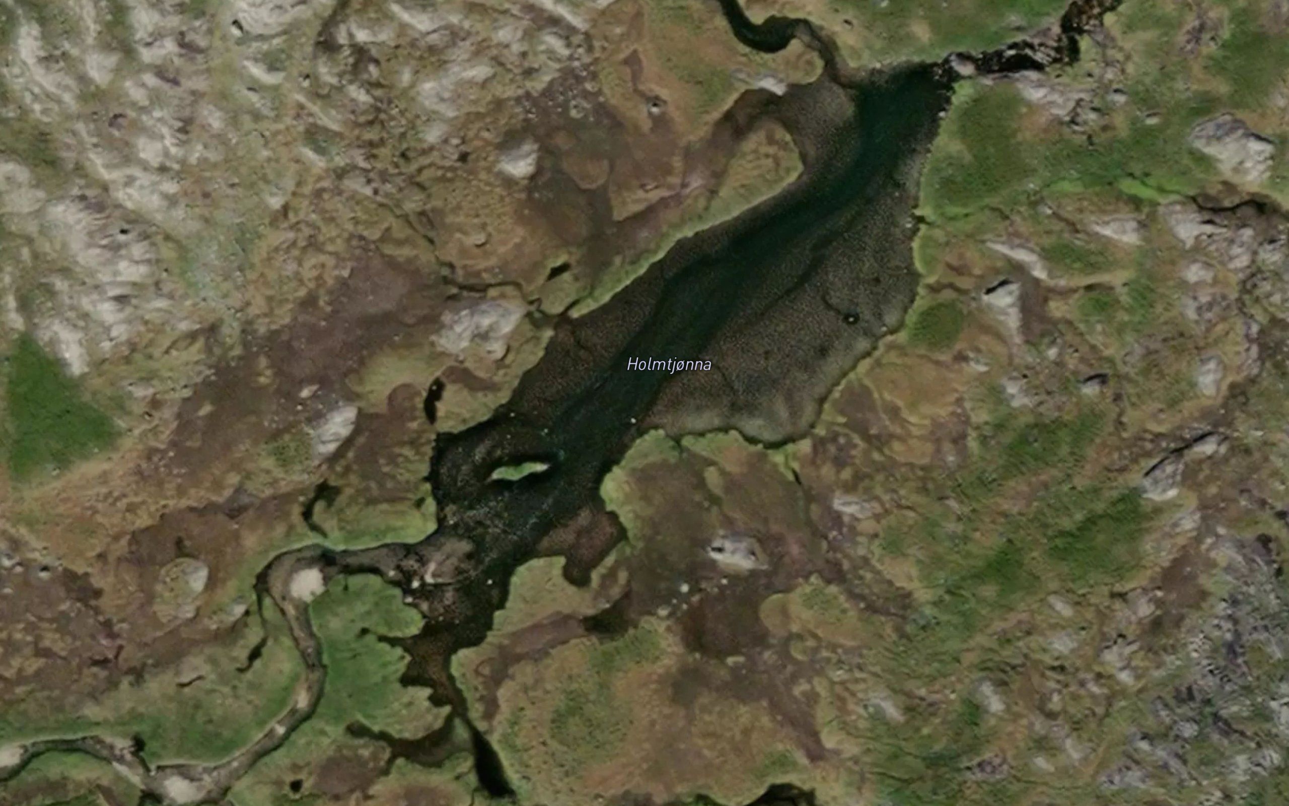 Holmtjorna