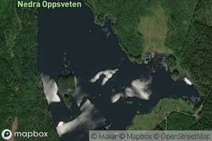 Oppsveten