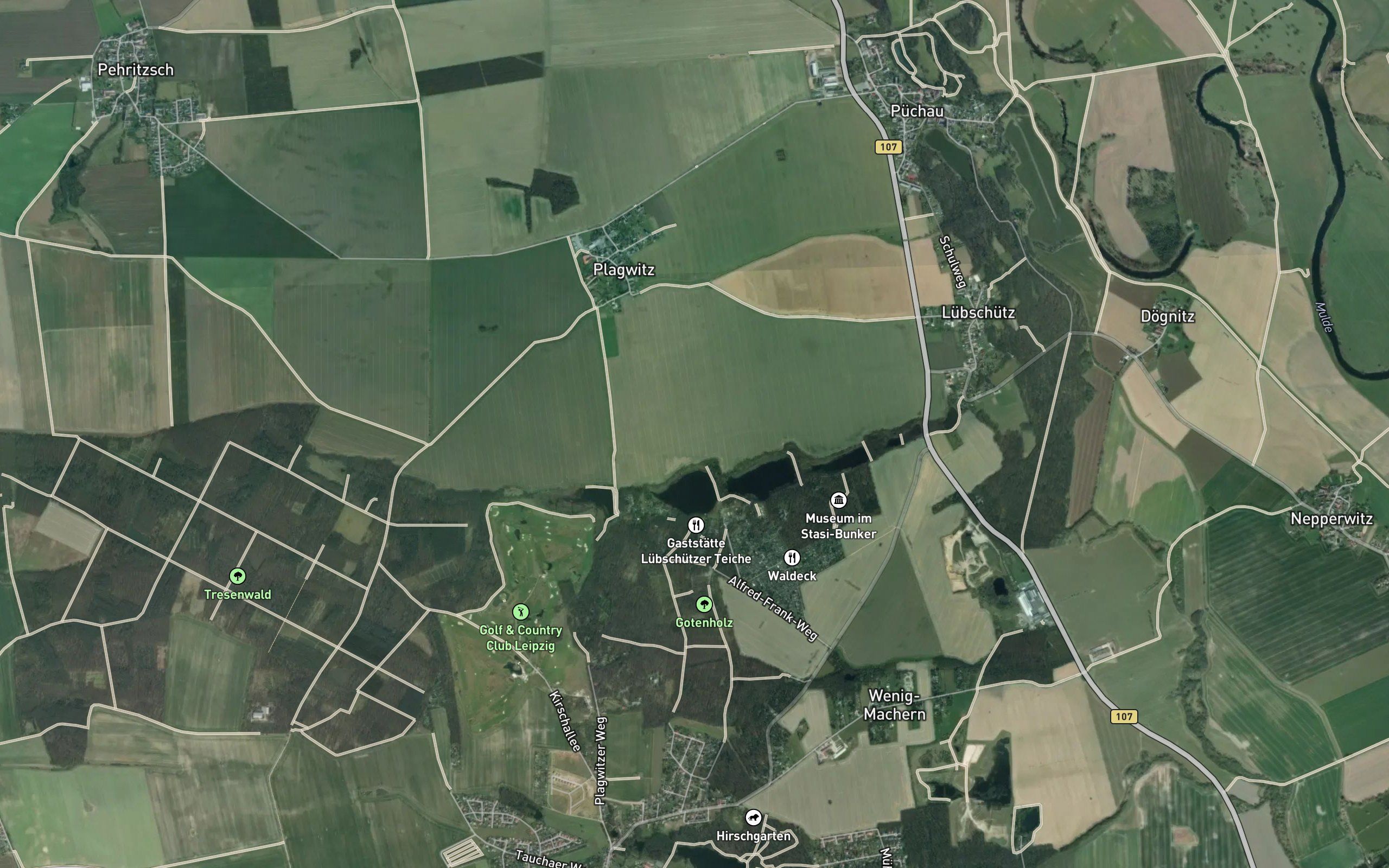 Sahlweiden Teich