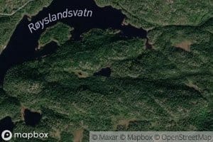 Nelaugtjonn