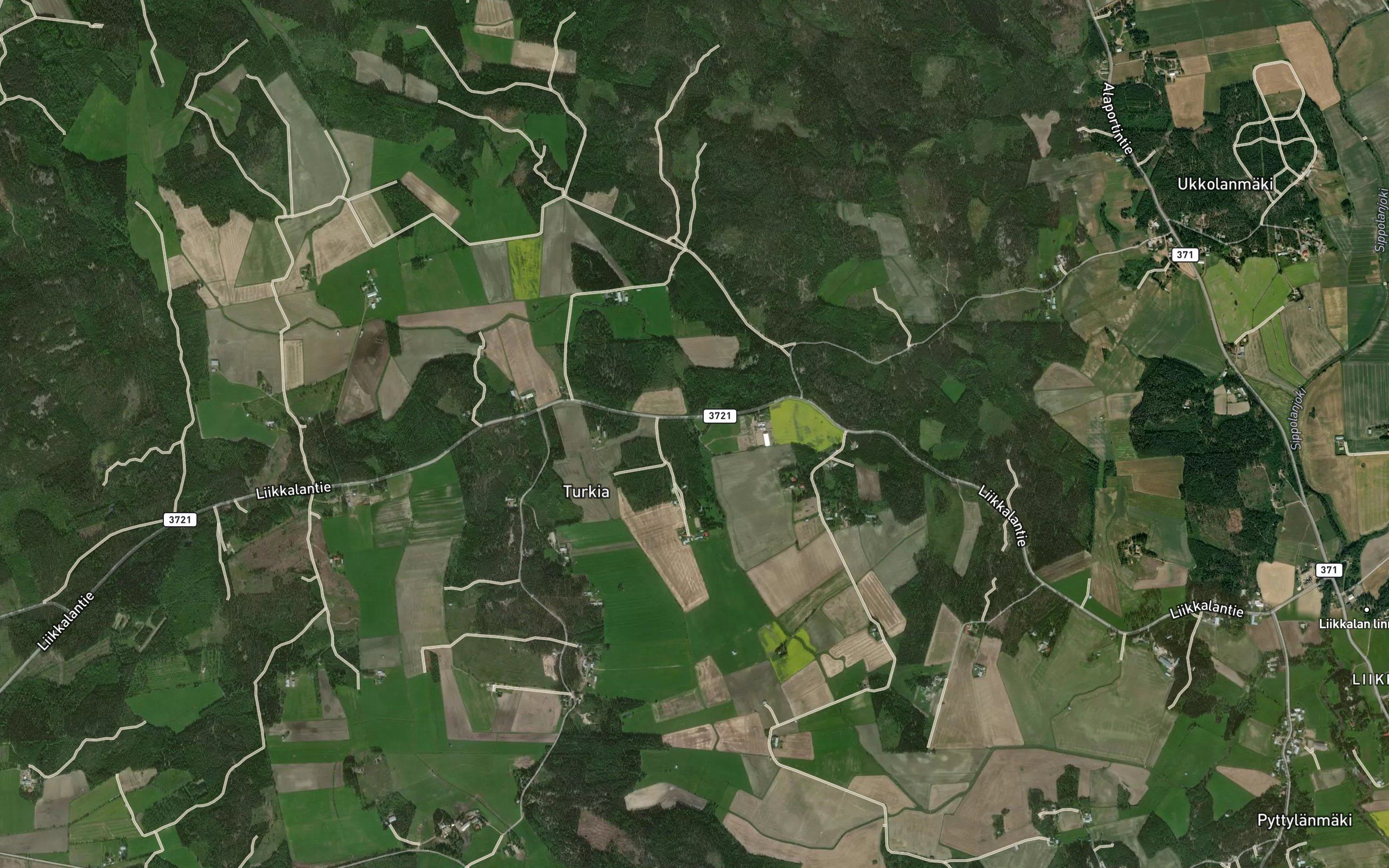 Likoja