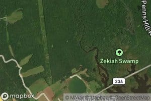 Zekiah Swamp Run