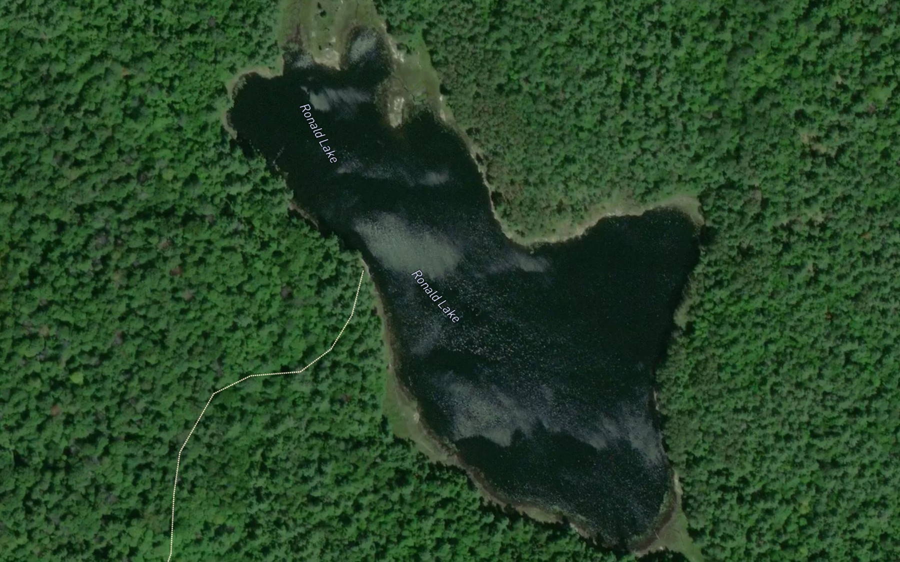 Satellite map of the Ronald Lake