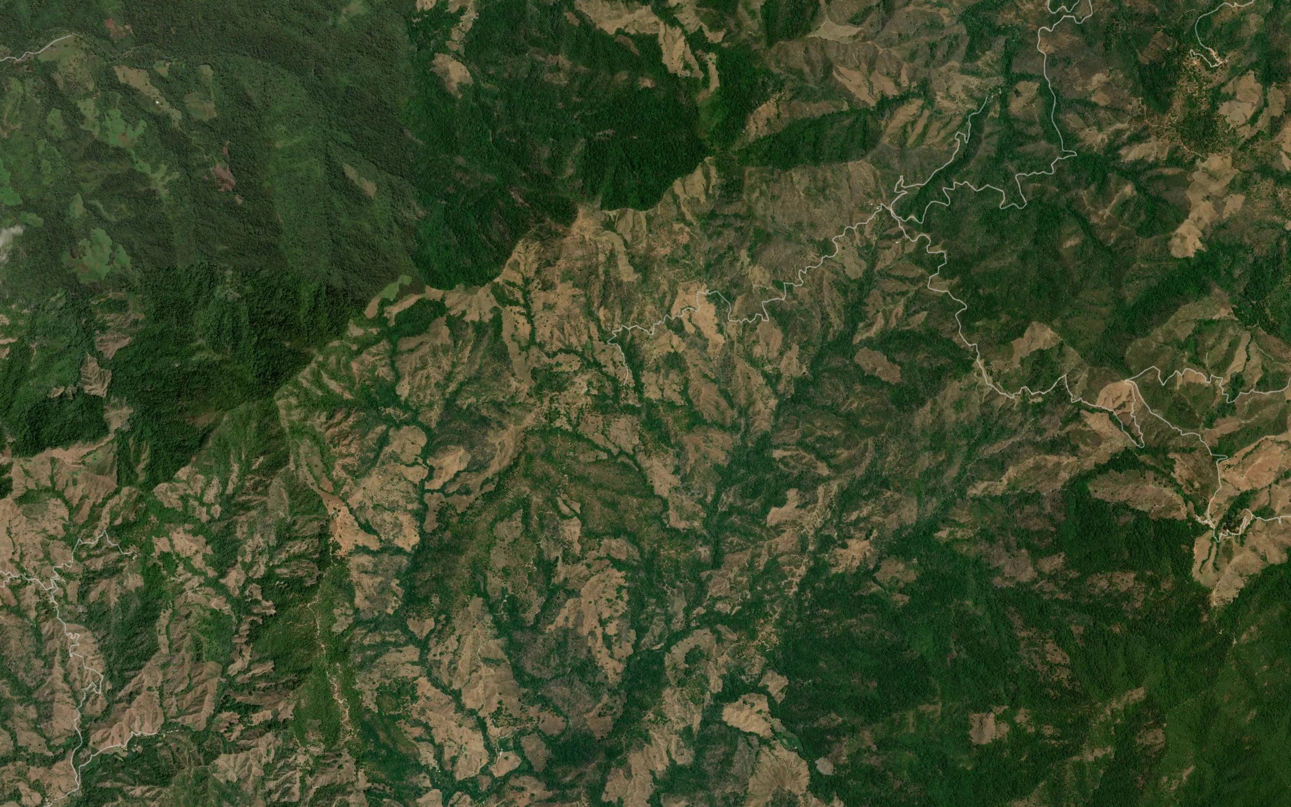 Barranca Aguja