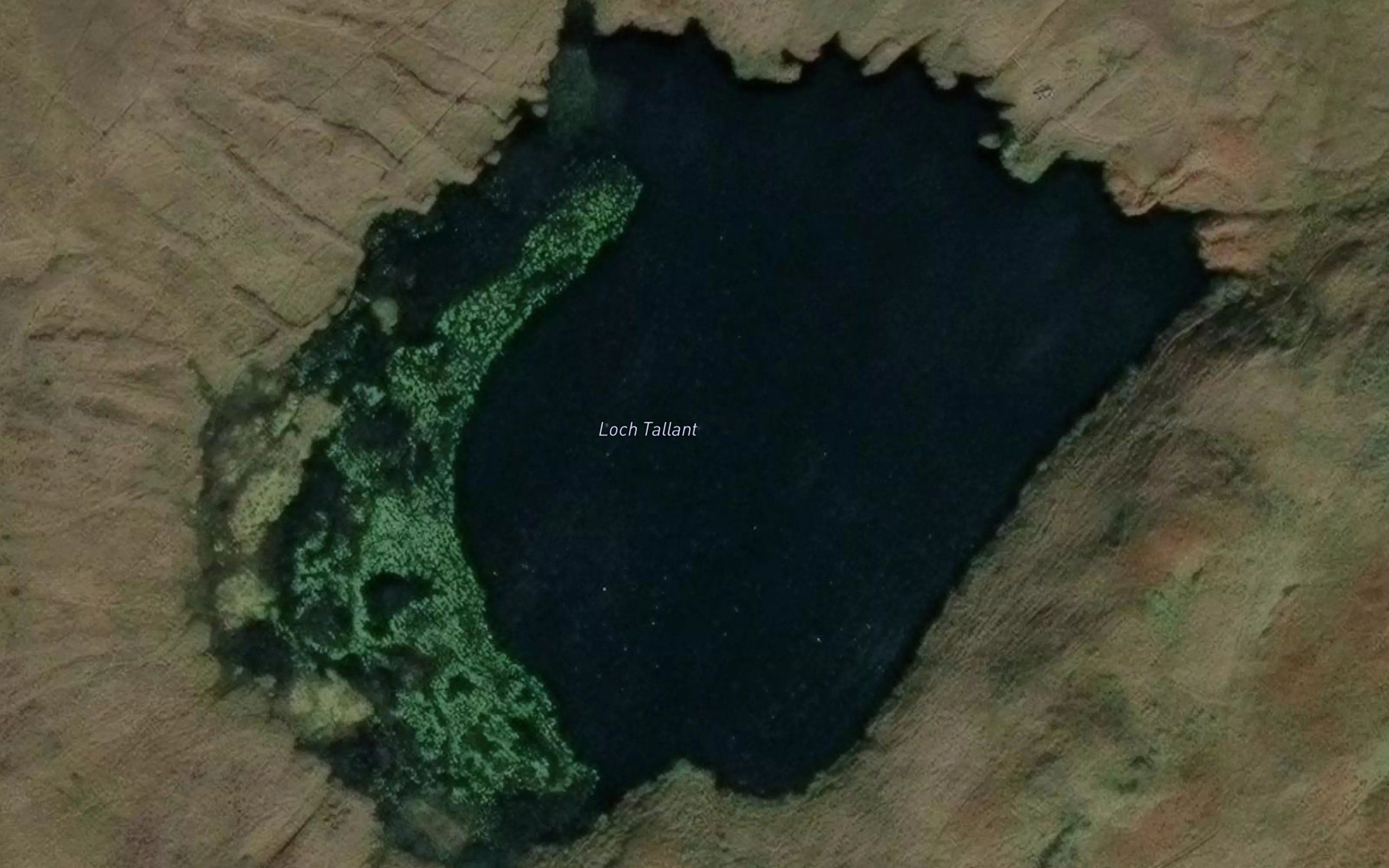 Loch Tallant