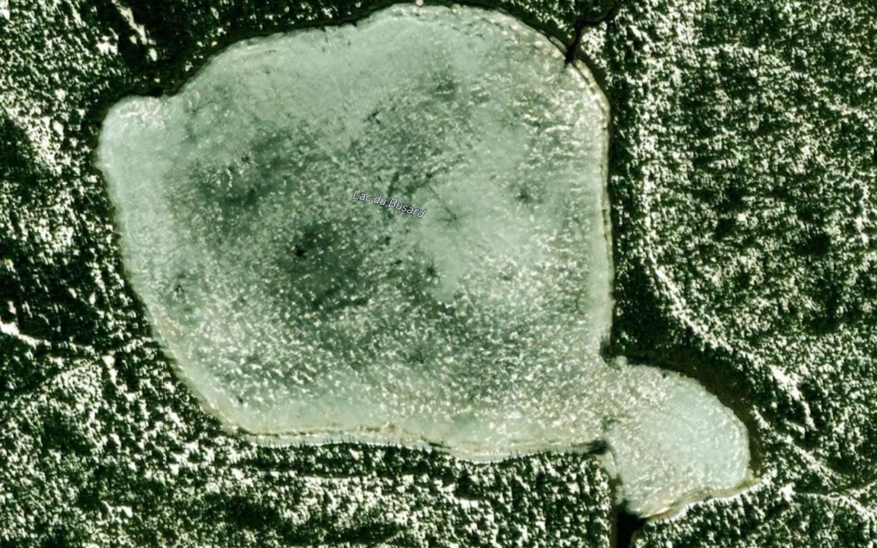 Satellite map of the Lac du Busard