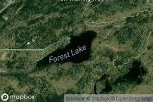 Forest Lake