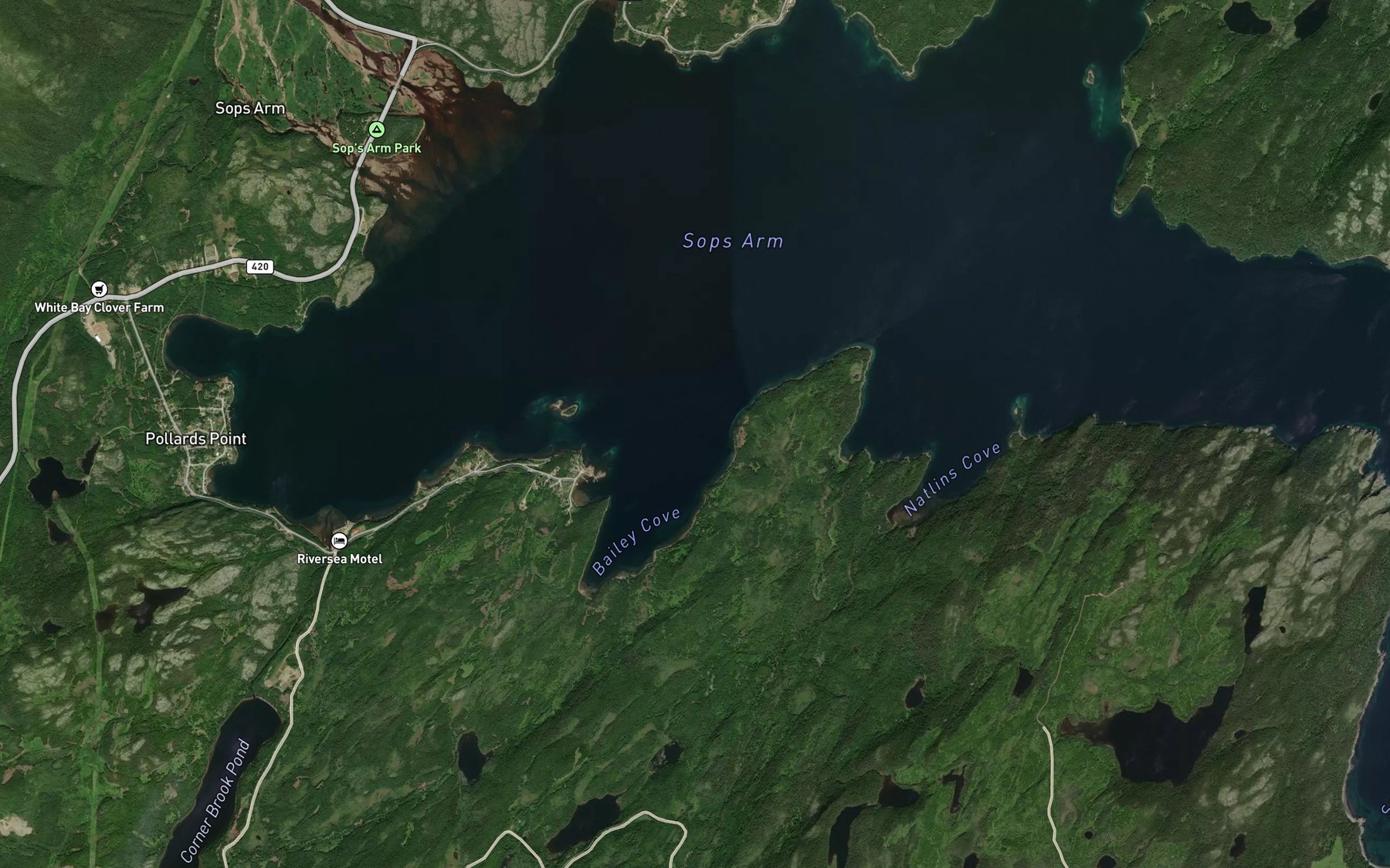 Satellite map of the Sops Arm