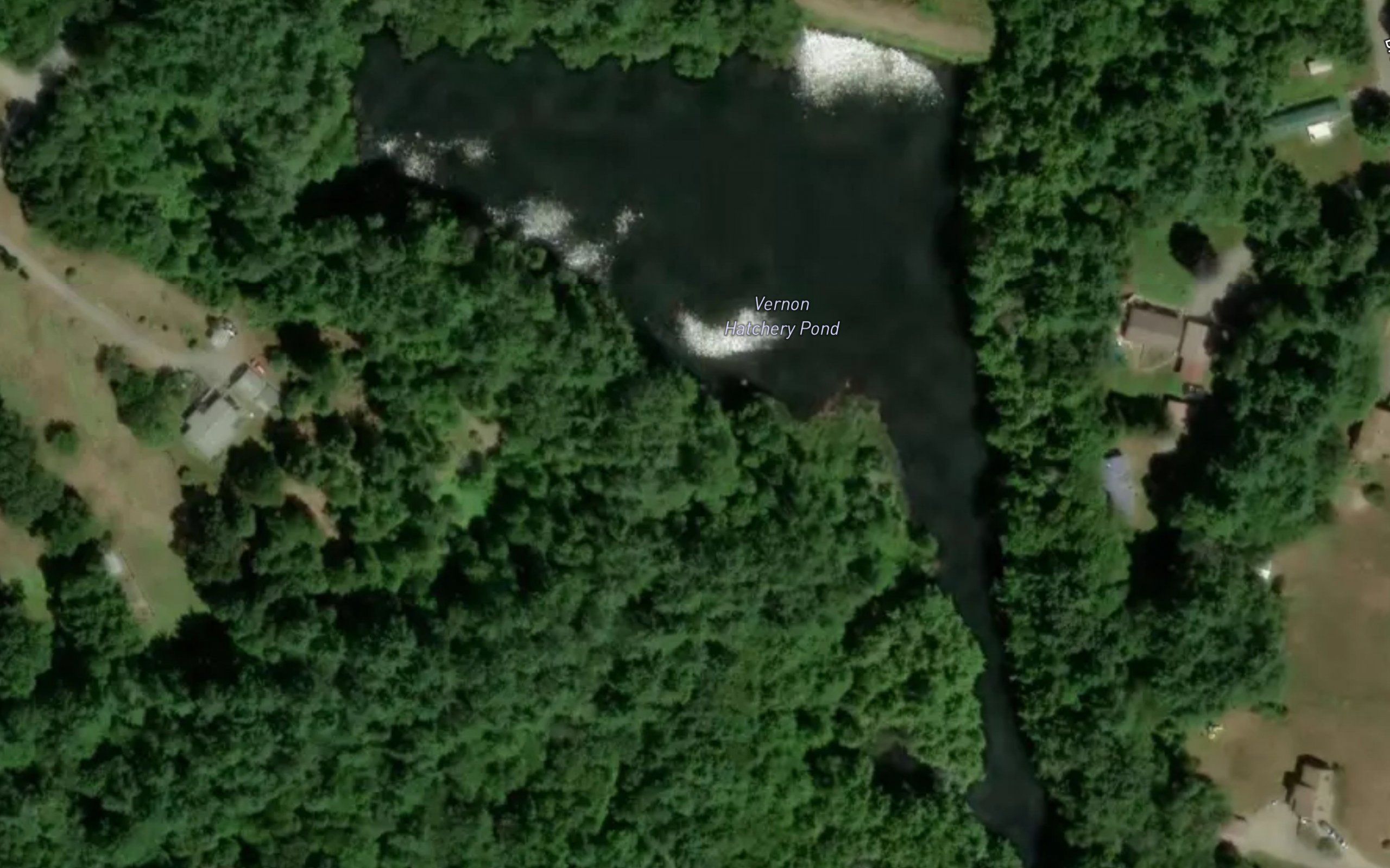 Vernon Hatchery Pond