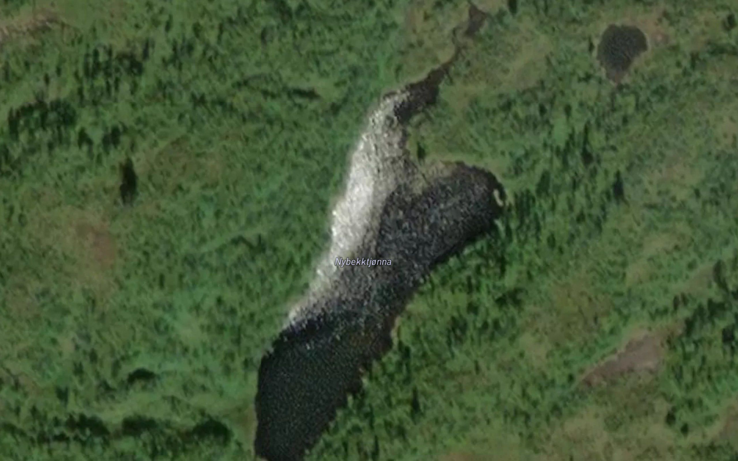 Nybekktjorna