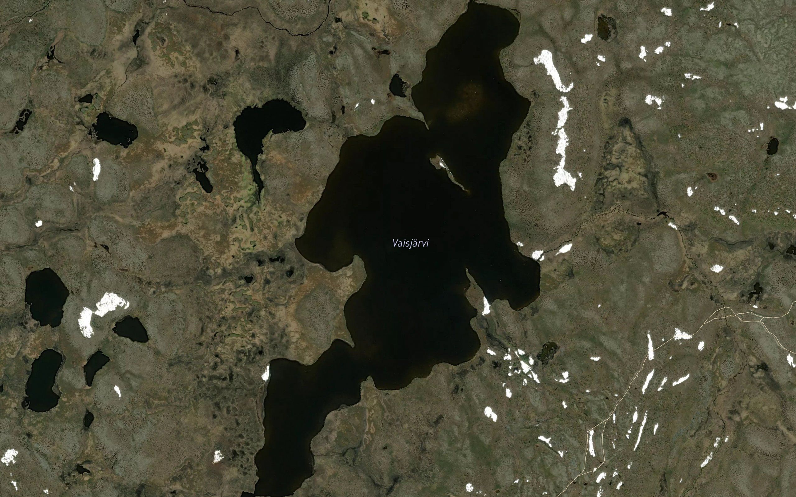 Vaisjaervi