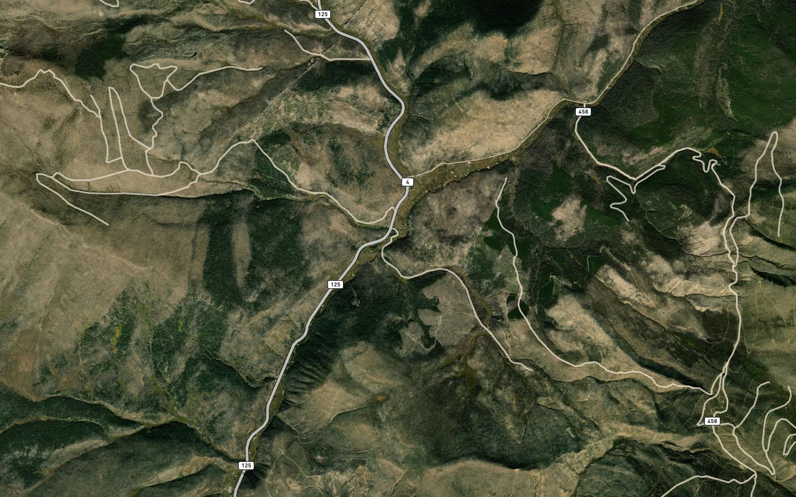 Bronco Creek