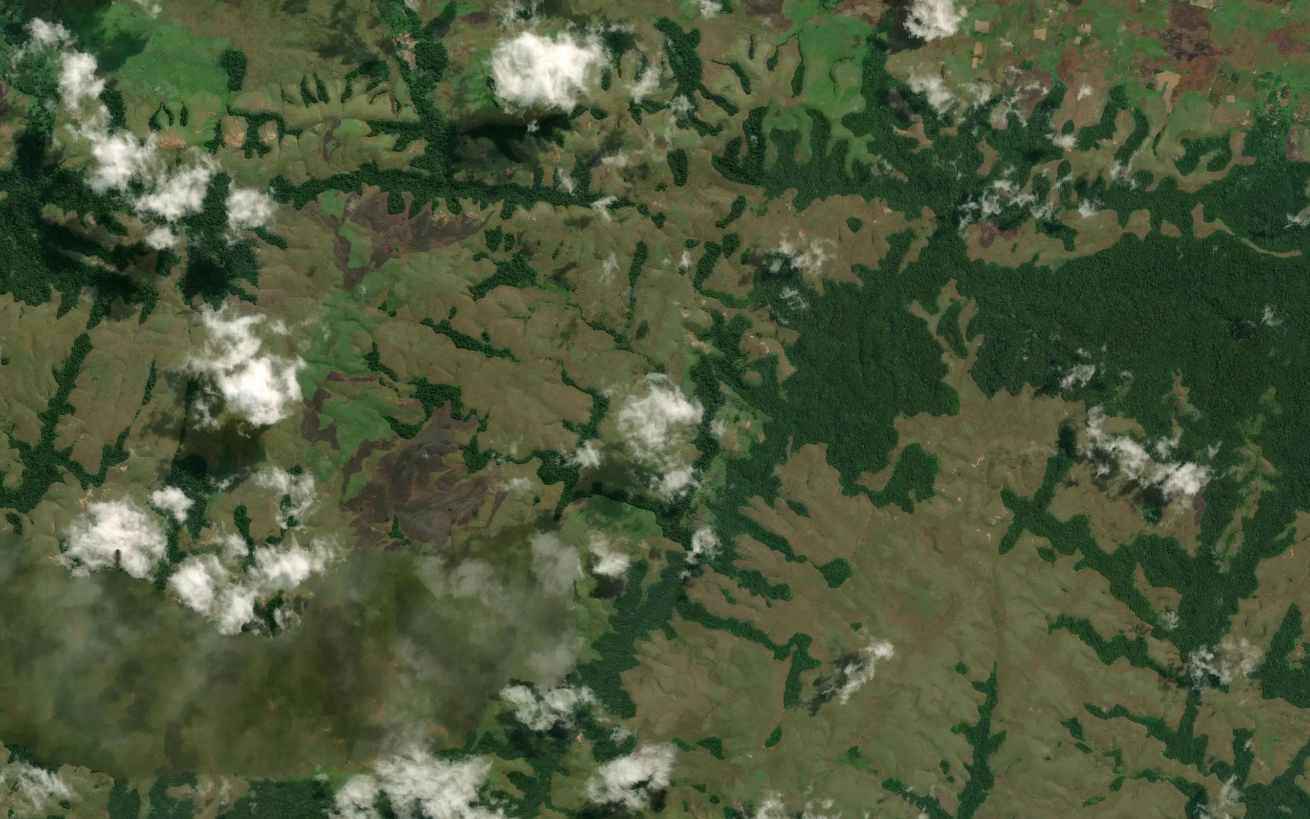 Vuva