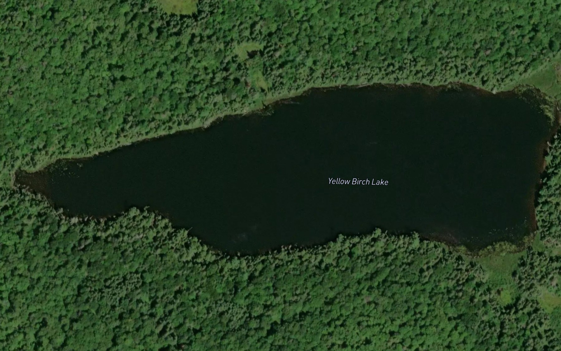 Satellite map of the Yellow Birch Lake
