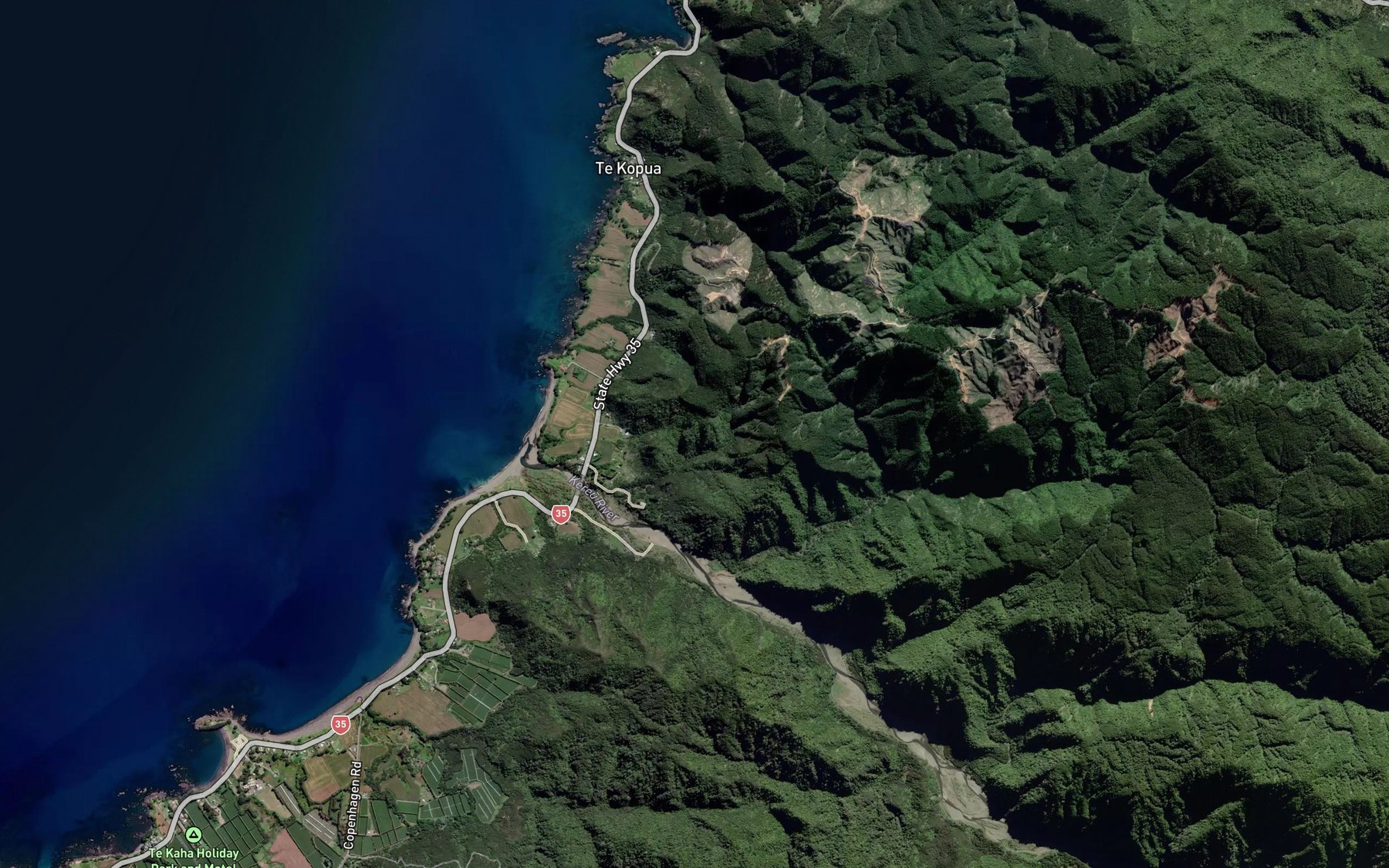 Satellite map of the Waharau Stream