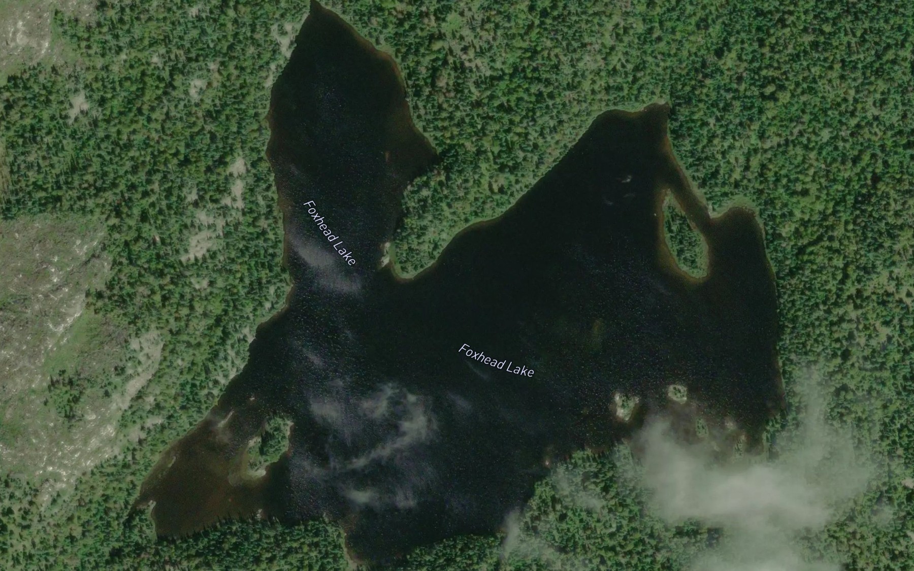 Satellite map of the Foxhead Lake