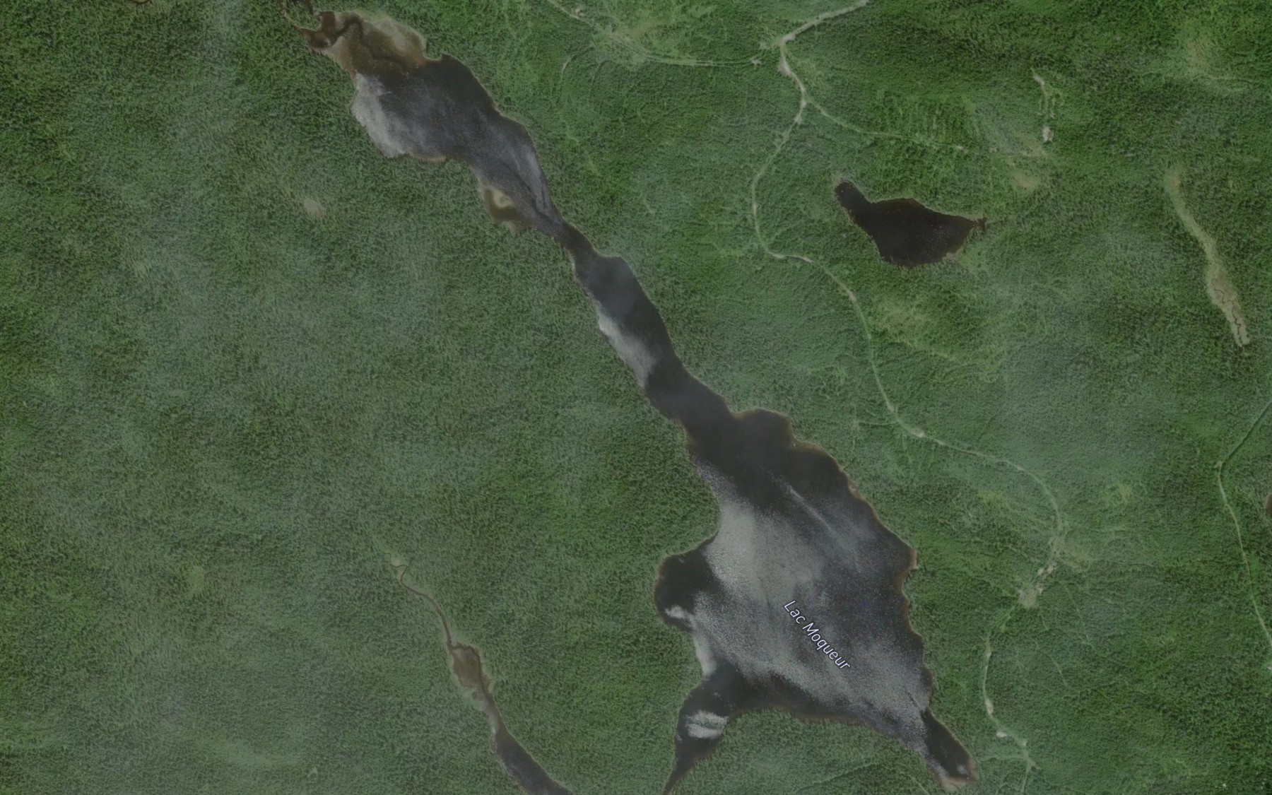 Satellite map of the Lac Moqueur