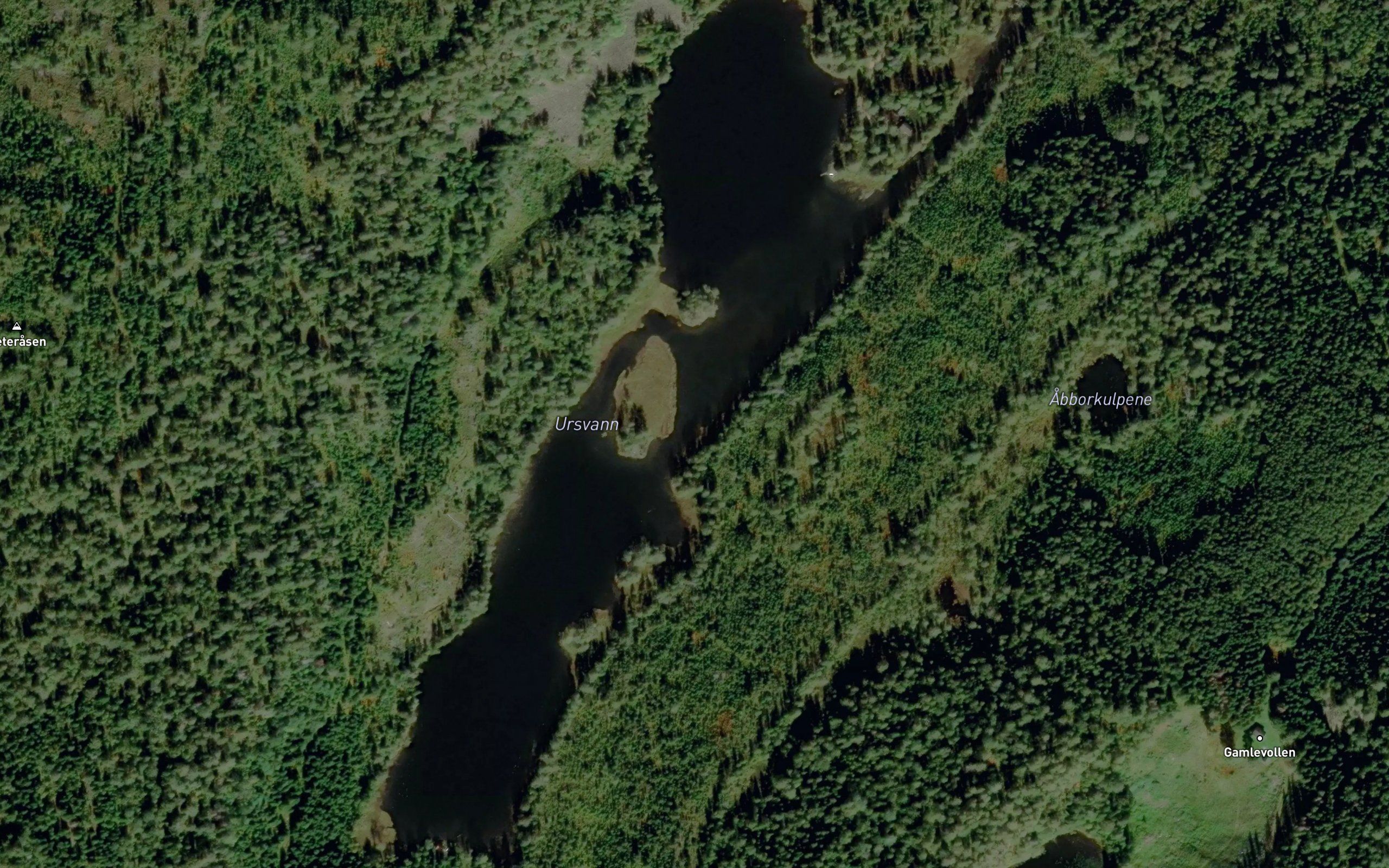 Ursvann