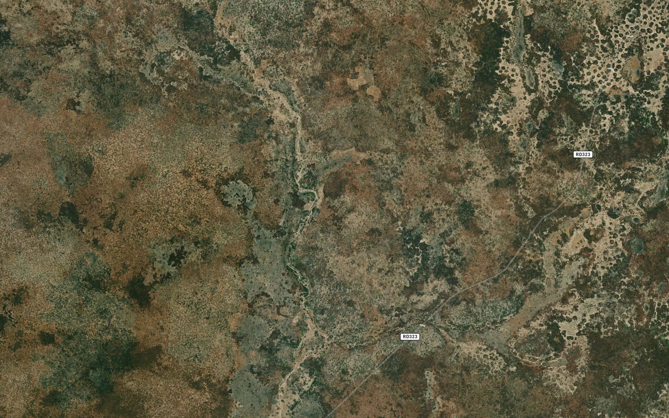 Mwani