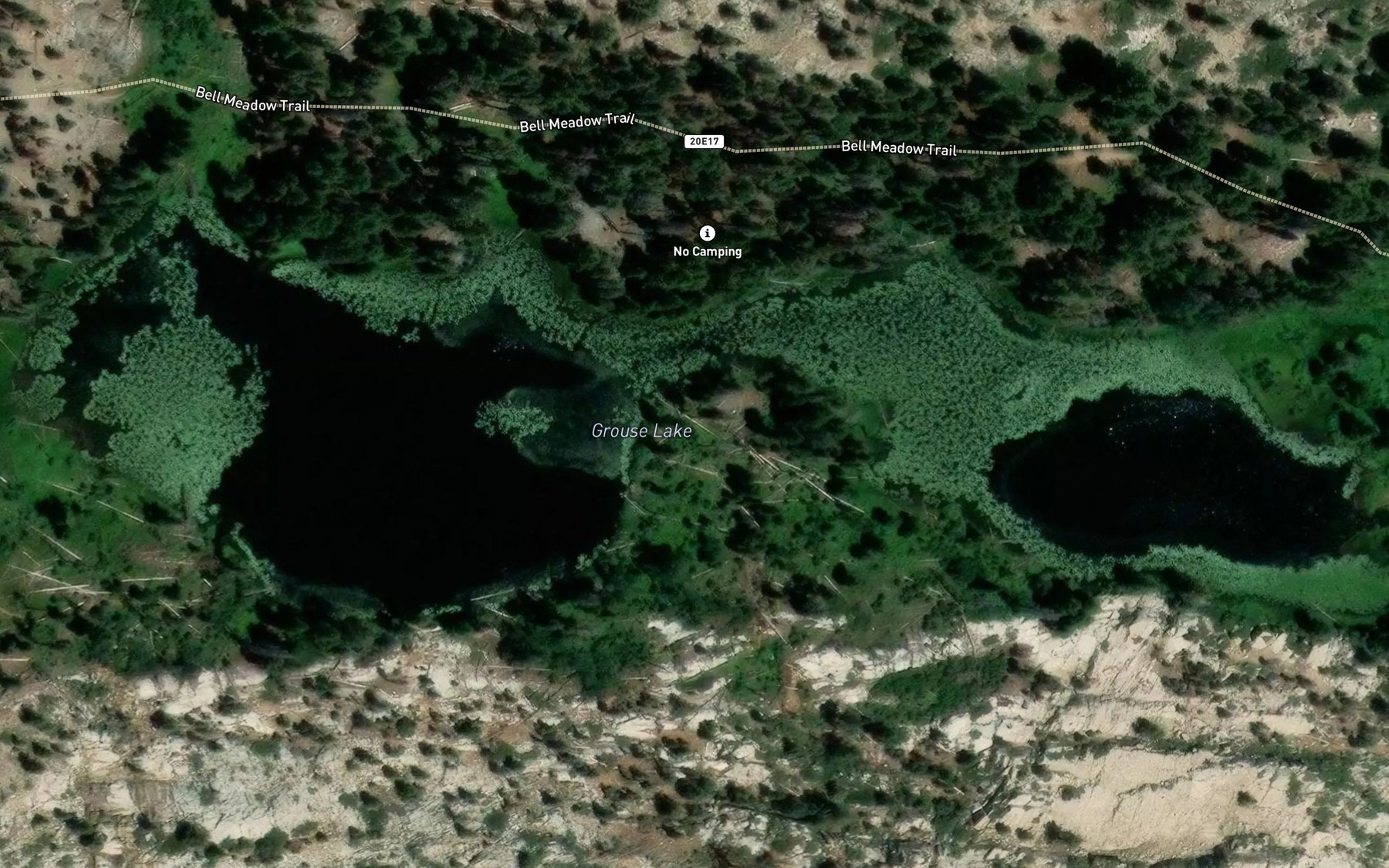 Satellite map of the Grouse Lake