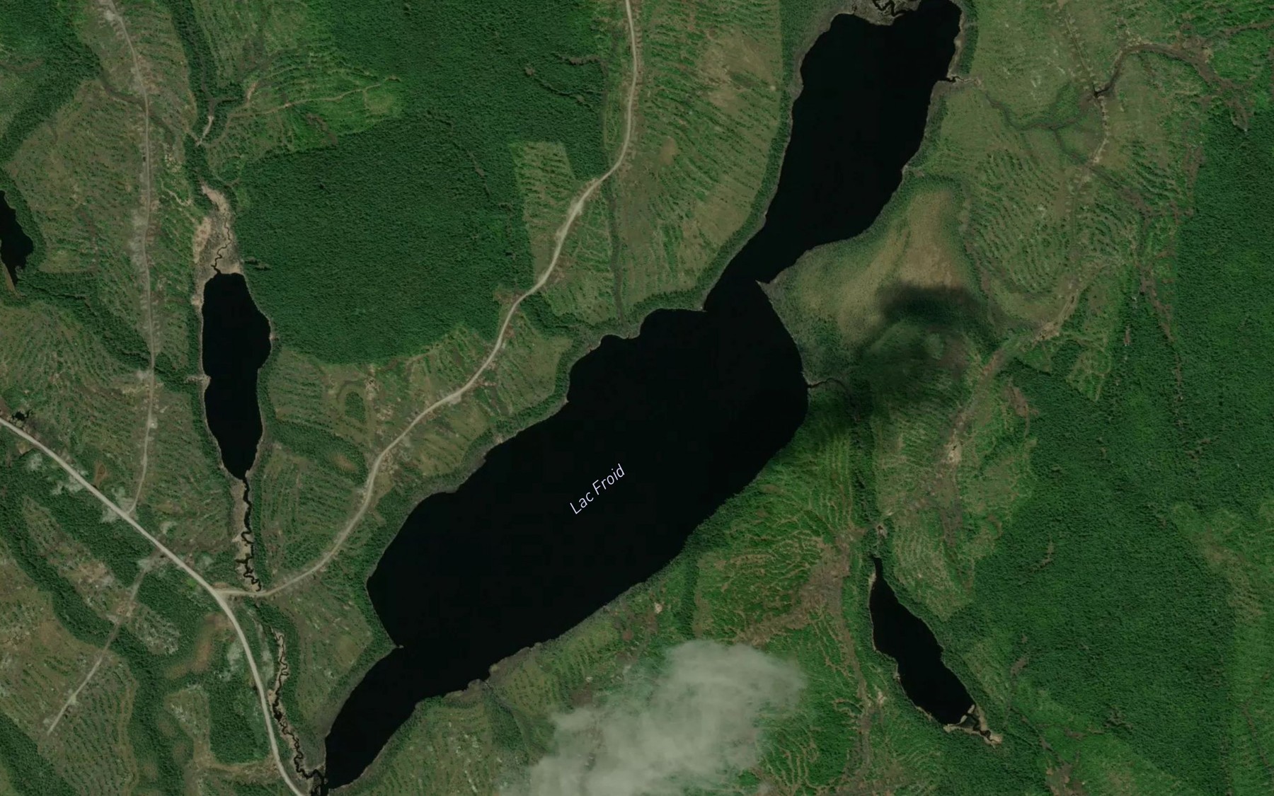 Satellite map of the Lac Froid