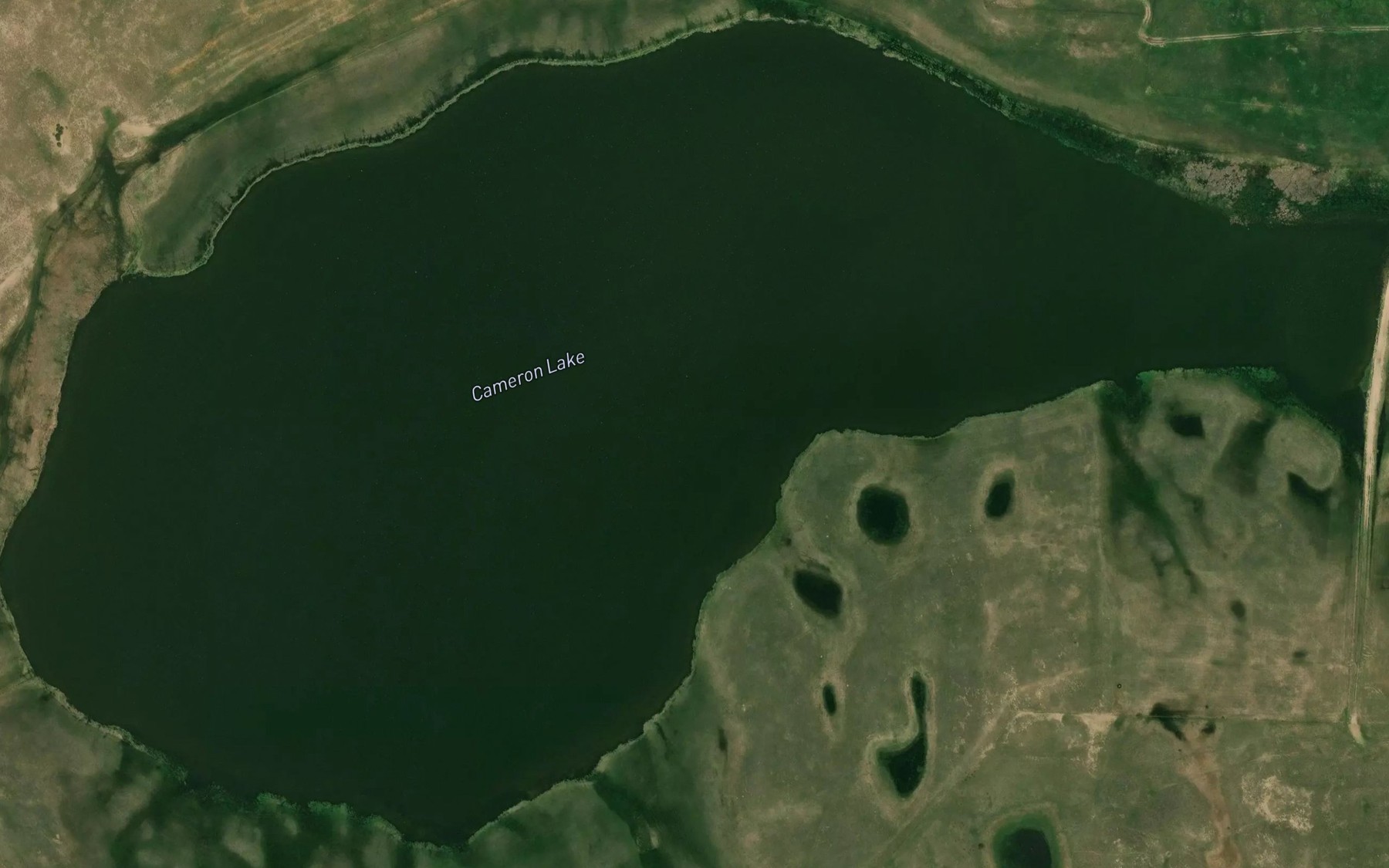 Satellite map of the Cameron Lake