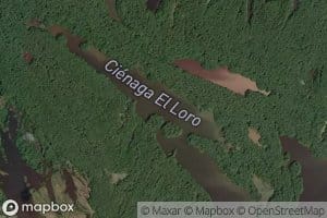 Cienaga El Loro