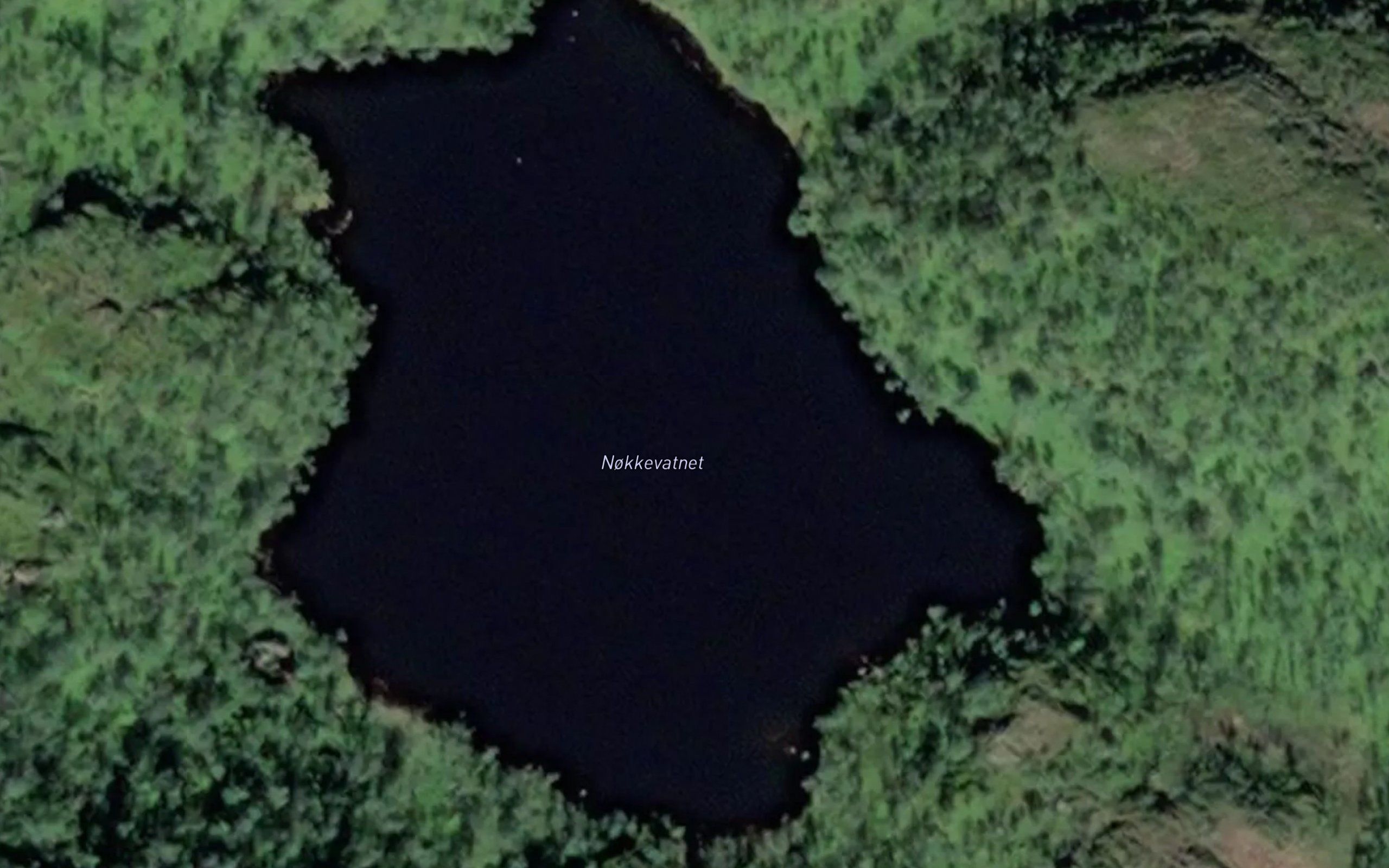Nokkevatnet