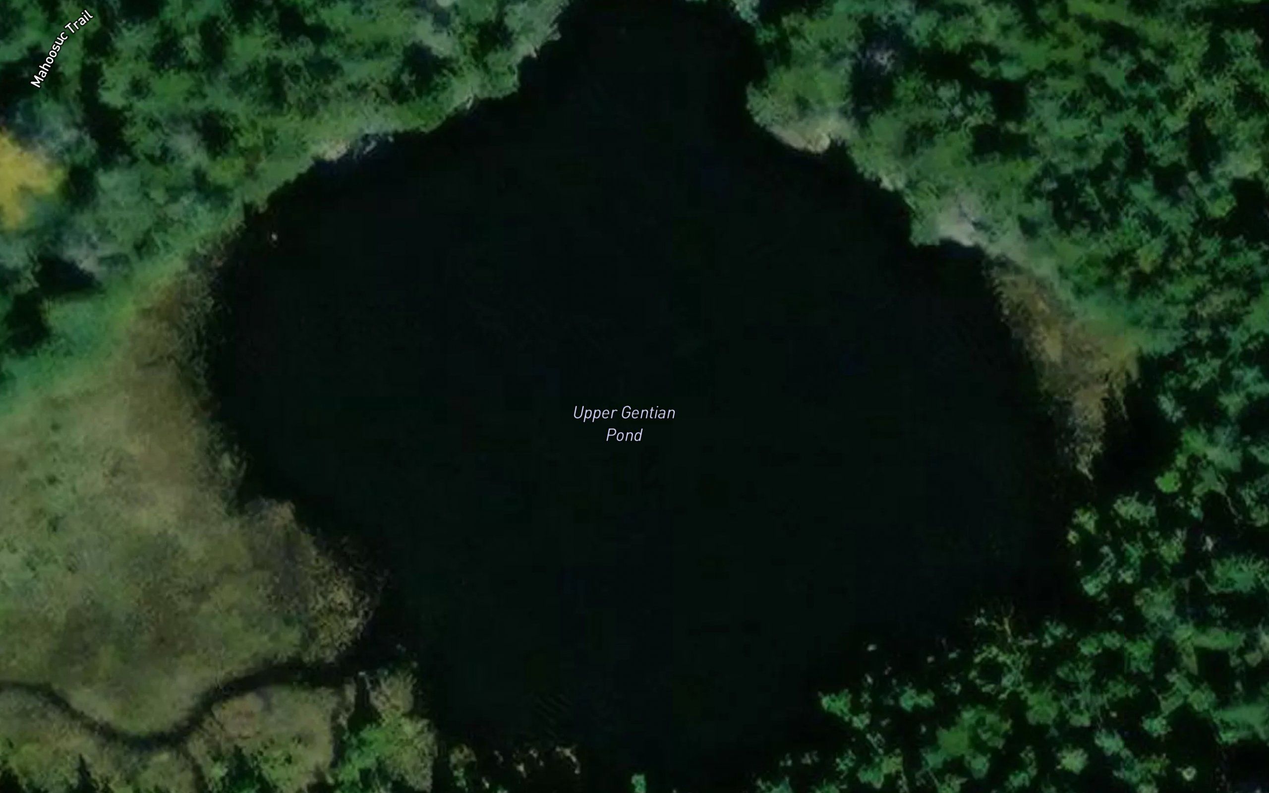 Upper Gentian Pond
