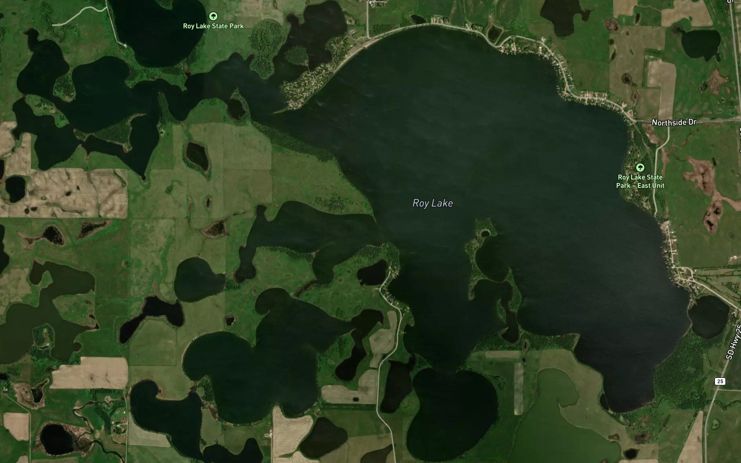 Roy Lake