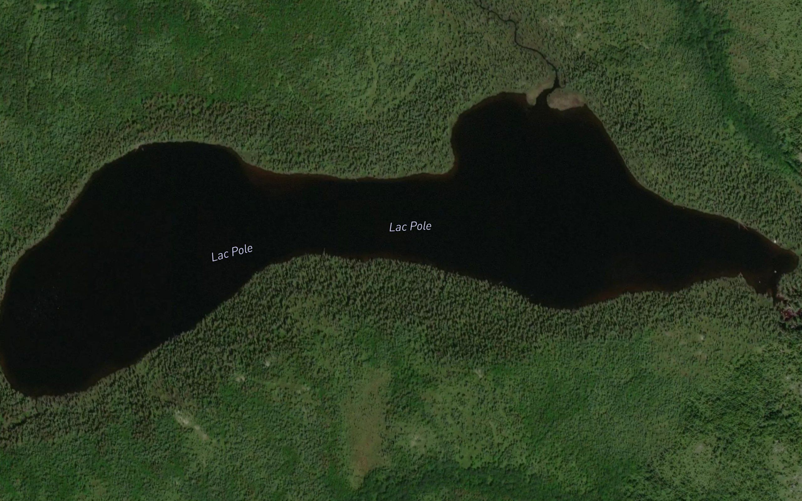 Lac Pole
