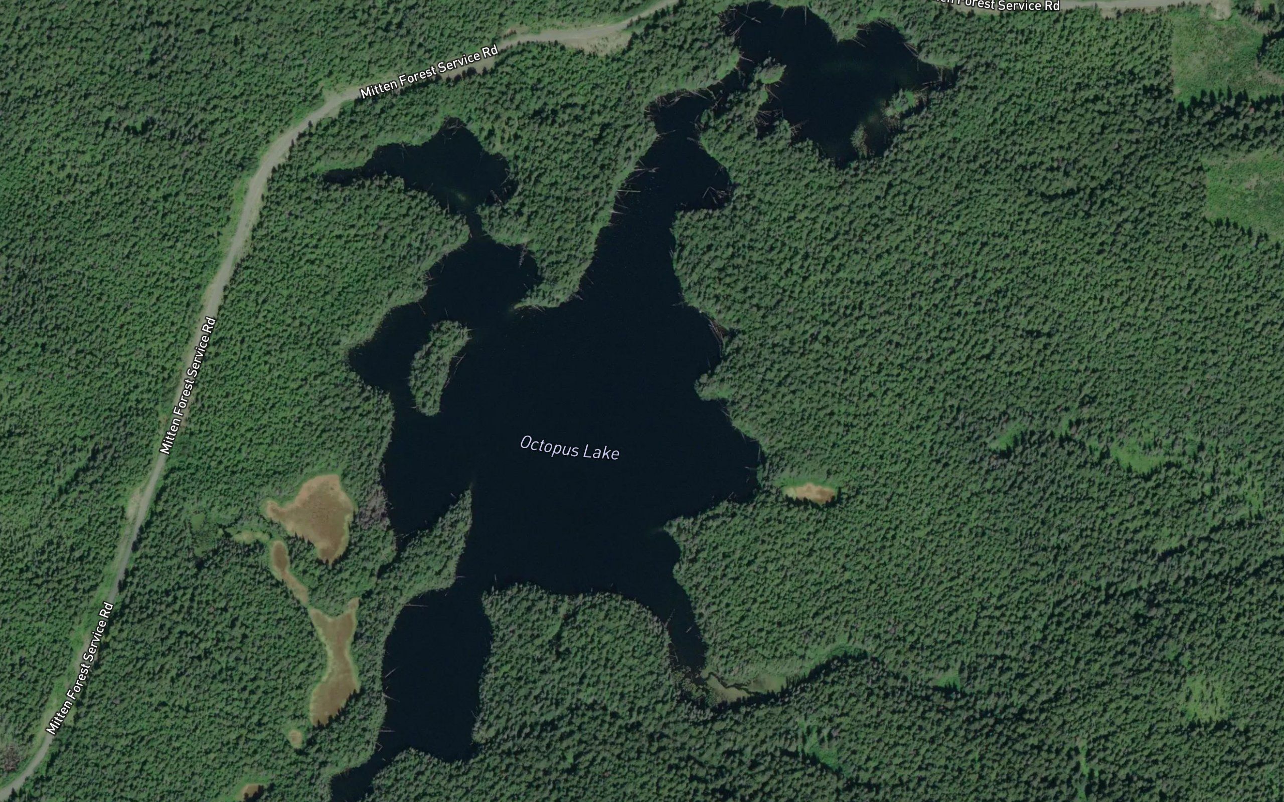 Octopus Lake