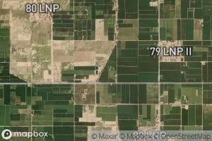 Distributary Number Eight