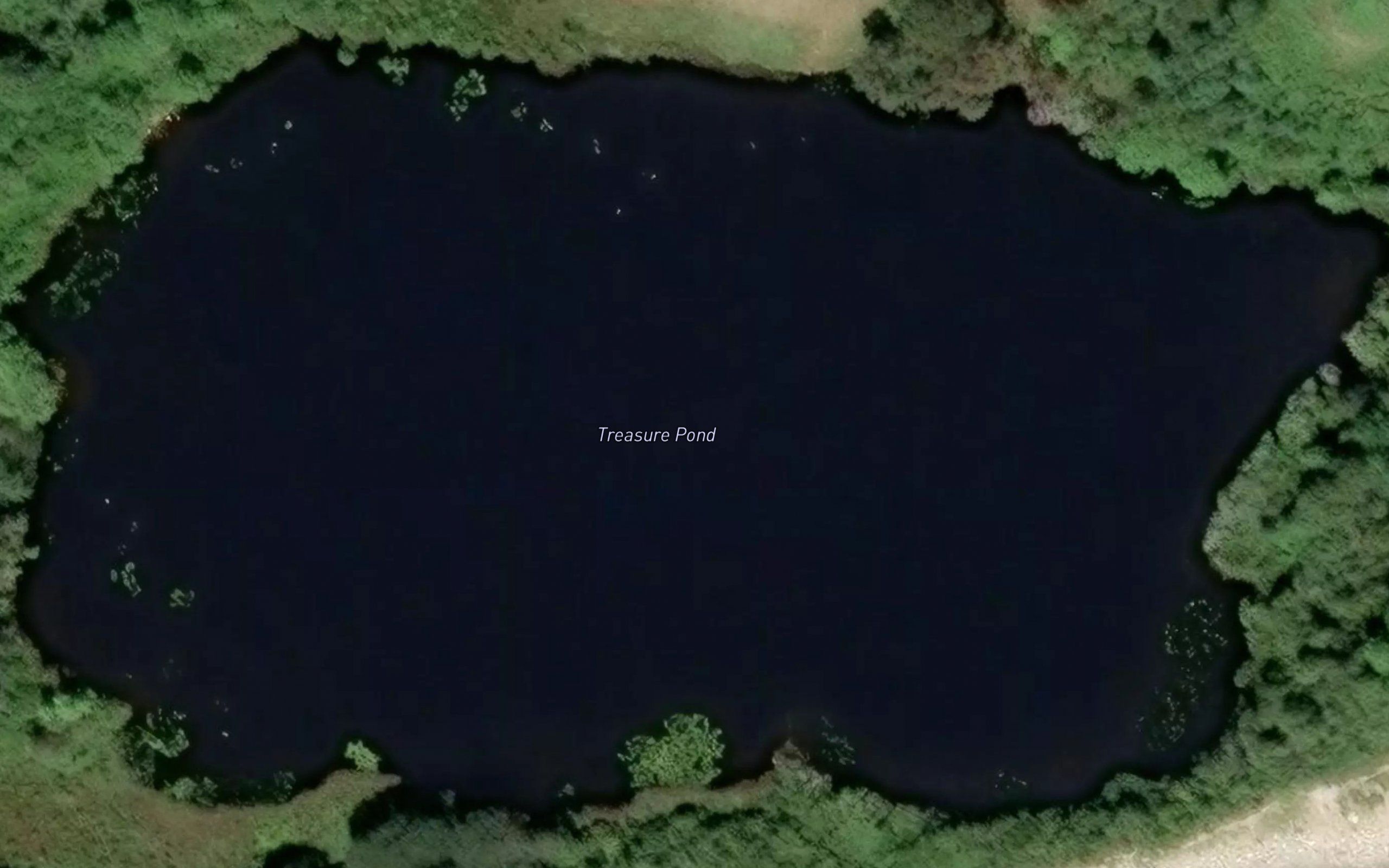 Treasure Pond