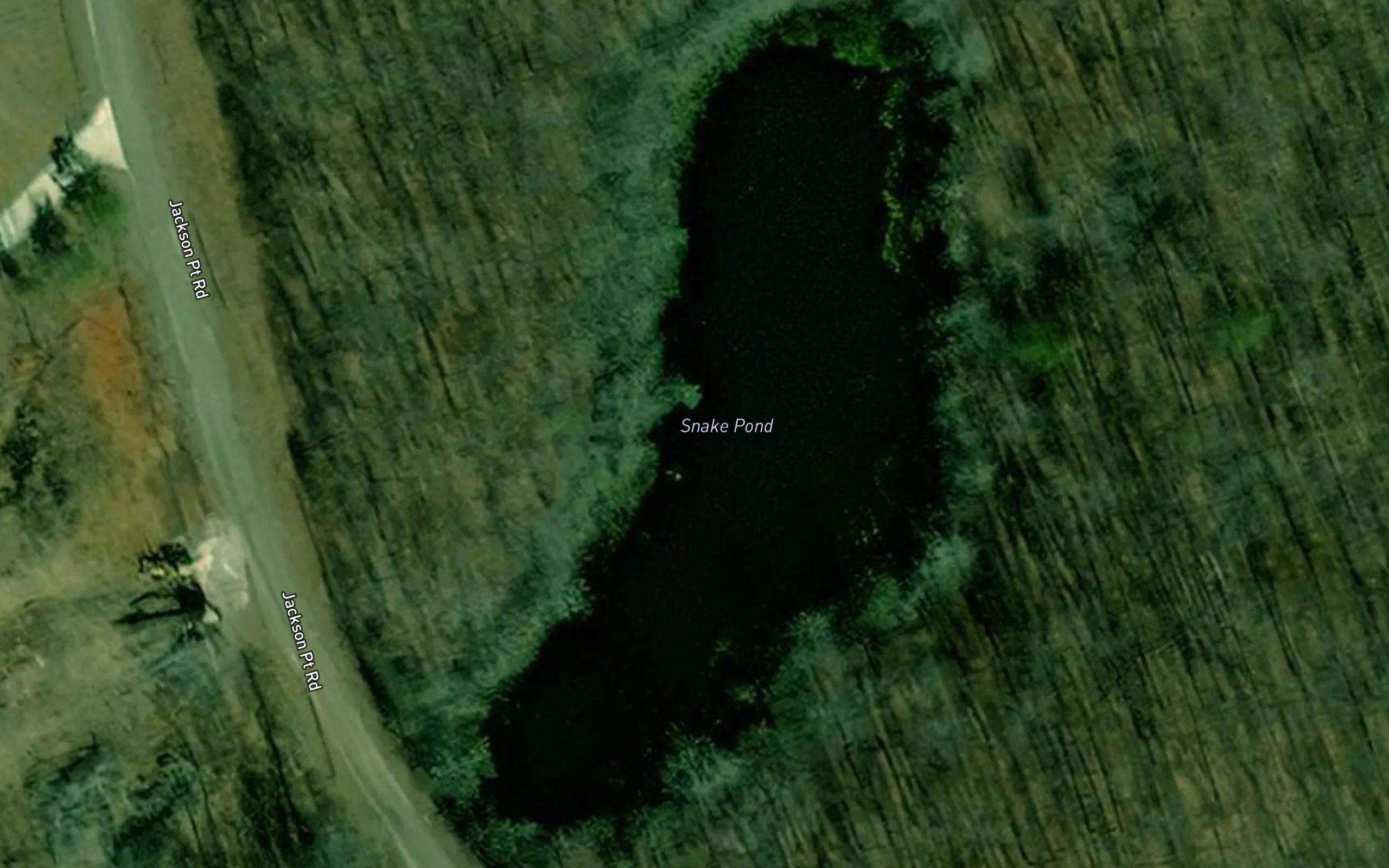 Snake Pond
