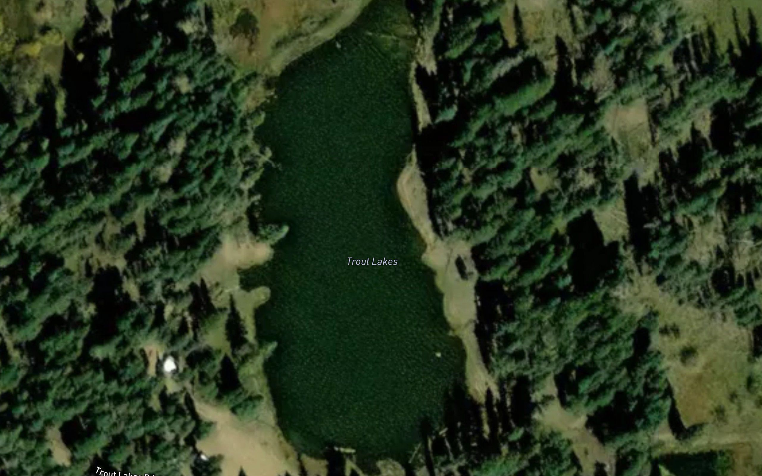 Trout Lakes